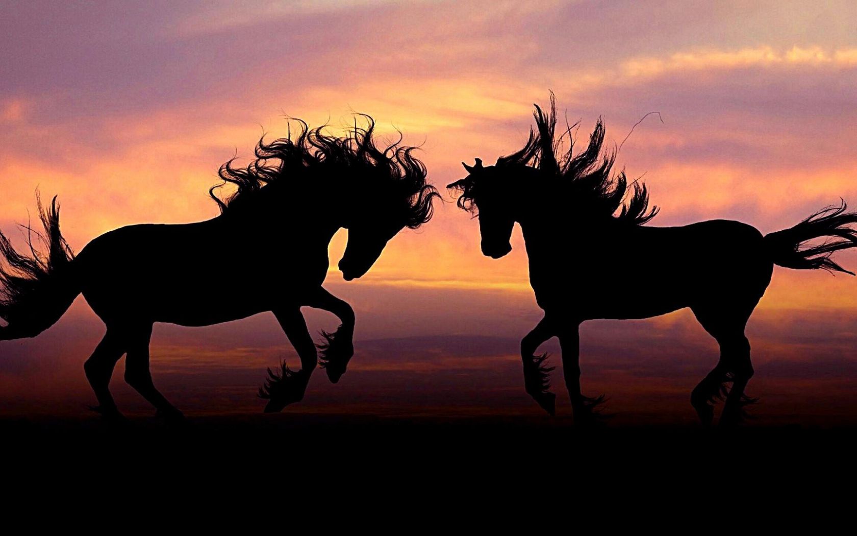 Aesthetic Sunset Horse Wallpapers Wallpaper Cave