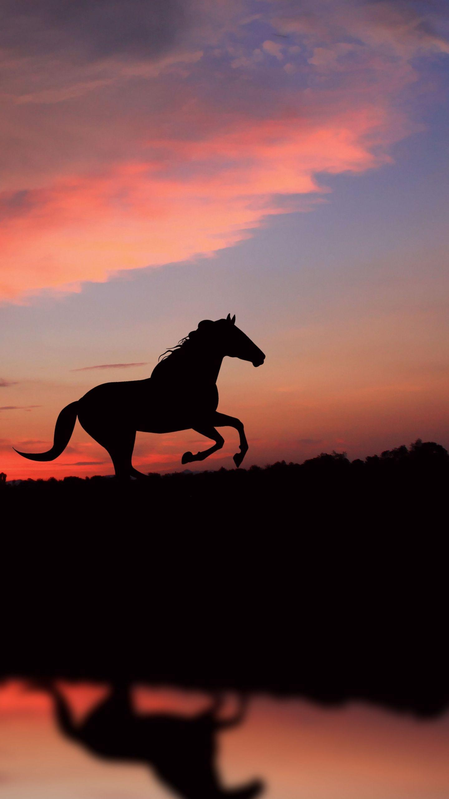 Aesthetic Sunset Horse Wallpapers - Wallpaper Cave