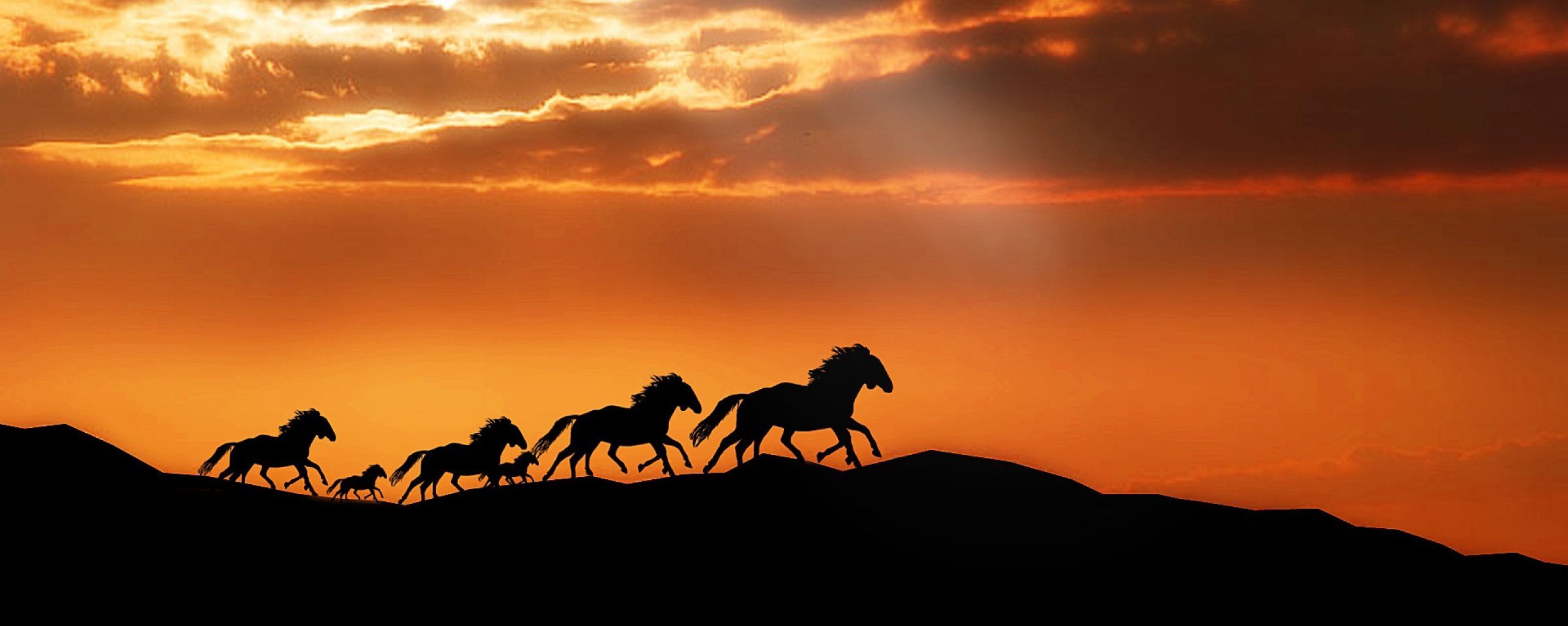 Aesthetic Sunset Horse Wallpapers - Wallpaper Cave