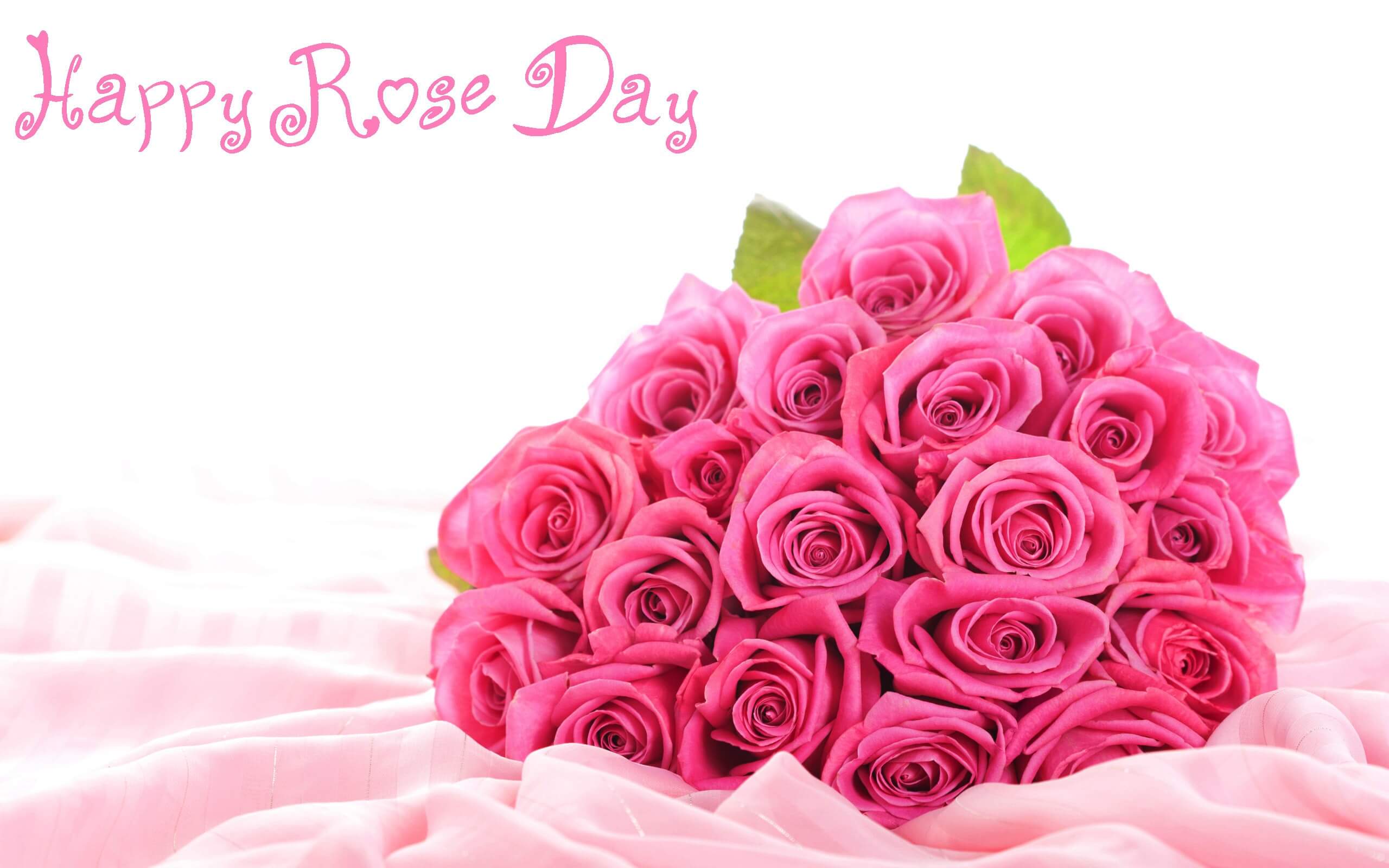 Rose Day Wallpaper