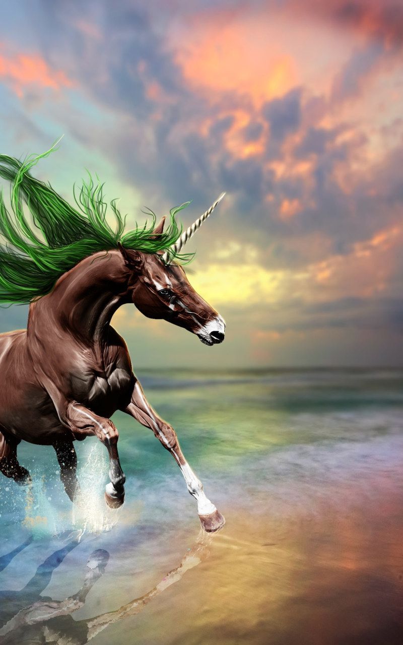 Unicorn Wallpaper • Creative design picture, brown unicorn wallpaper, beach, sunset • Wallpaper For You The Best Wallpaper For Desktop & Mobile