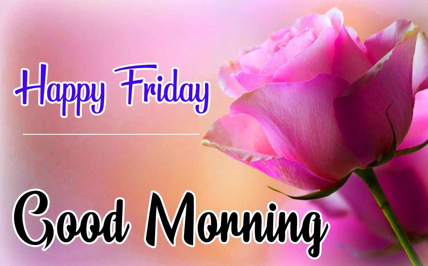 Friday Good Morning Wishes Image Download Morning Image. Good Morning Photo HD Downlaod. Good Morning Pics Wallpaper HD