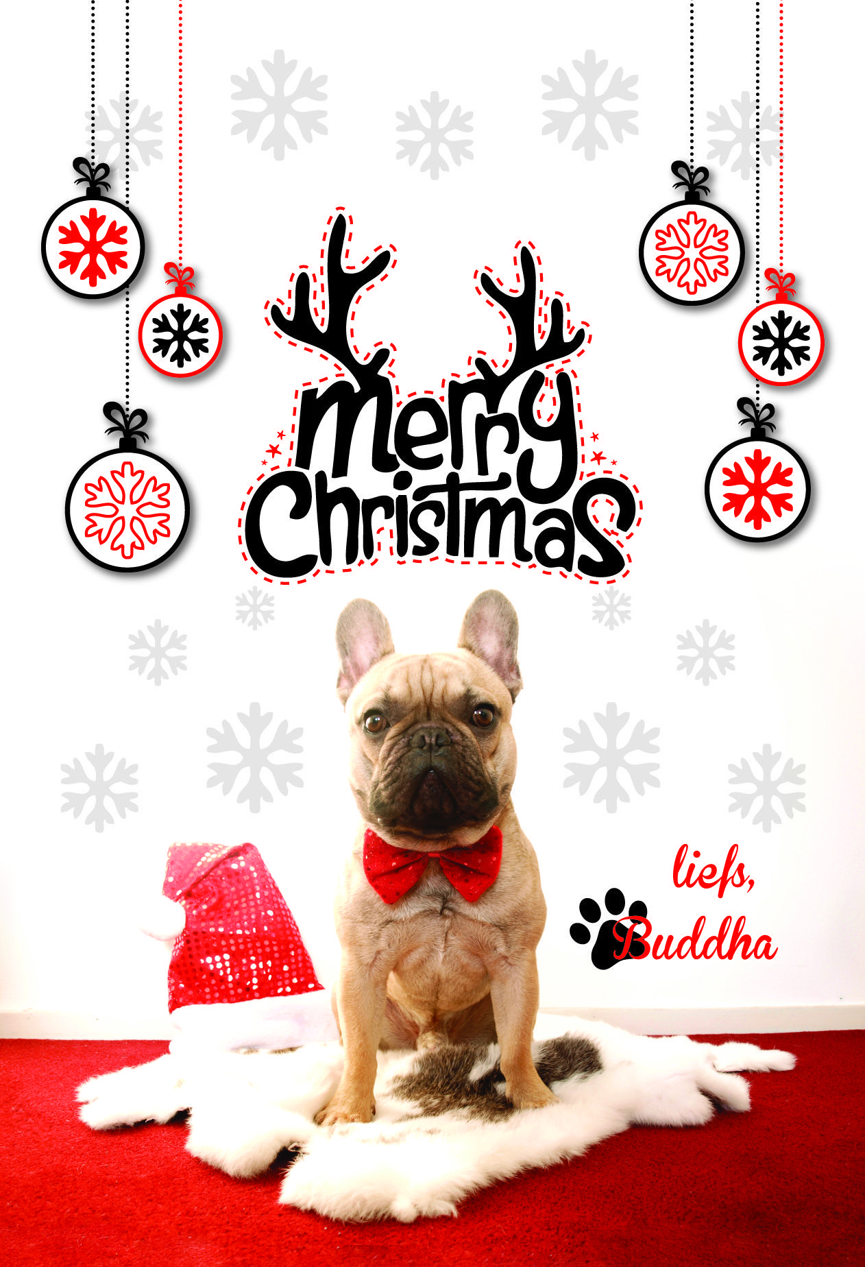 Christmas French Bulldogs Wallpapers - Wallpaper Cave
