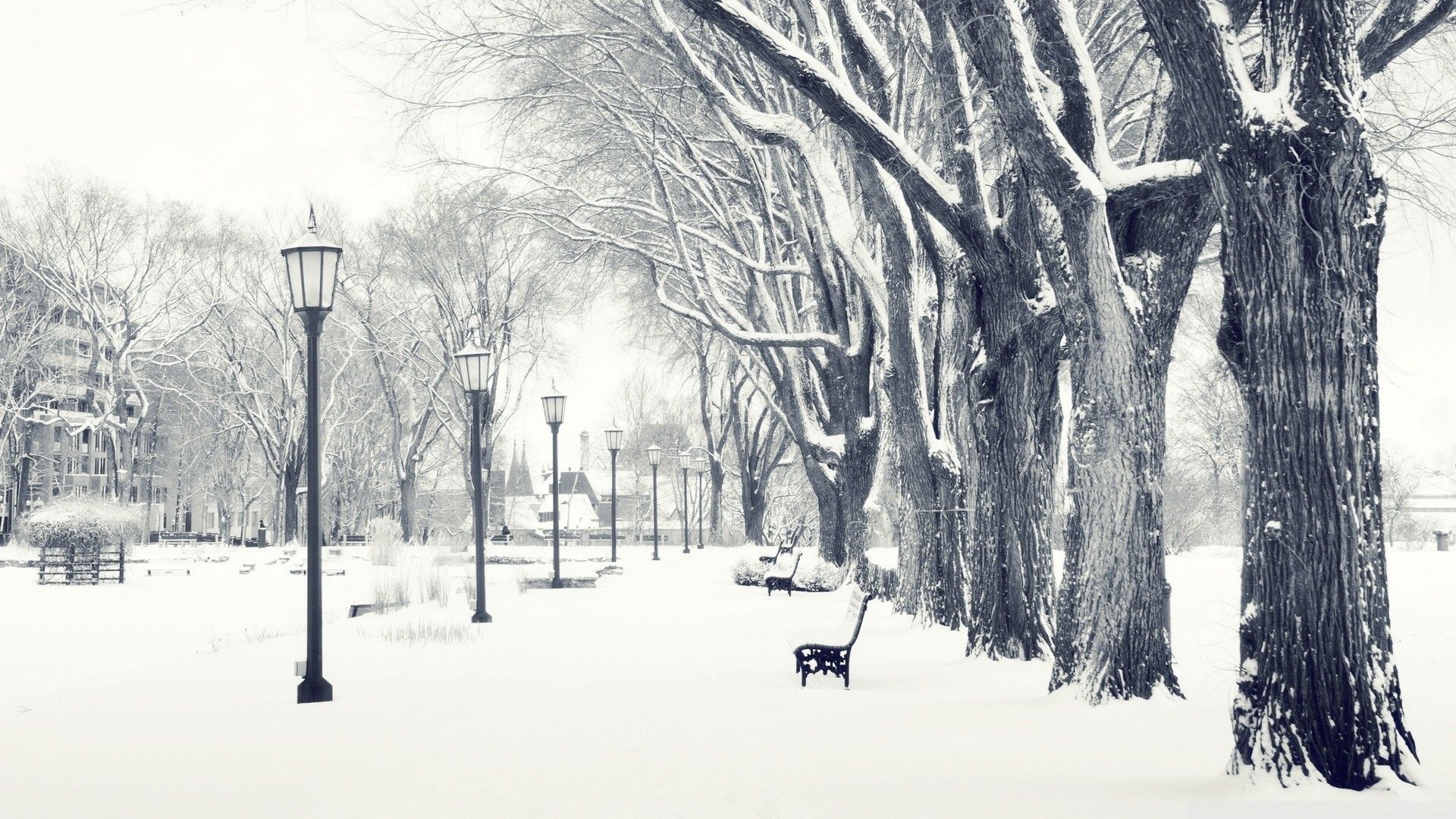 Black & White HD Wallpaper. Background. Winter scenery, Winter desktop background, Winter wallpaper