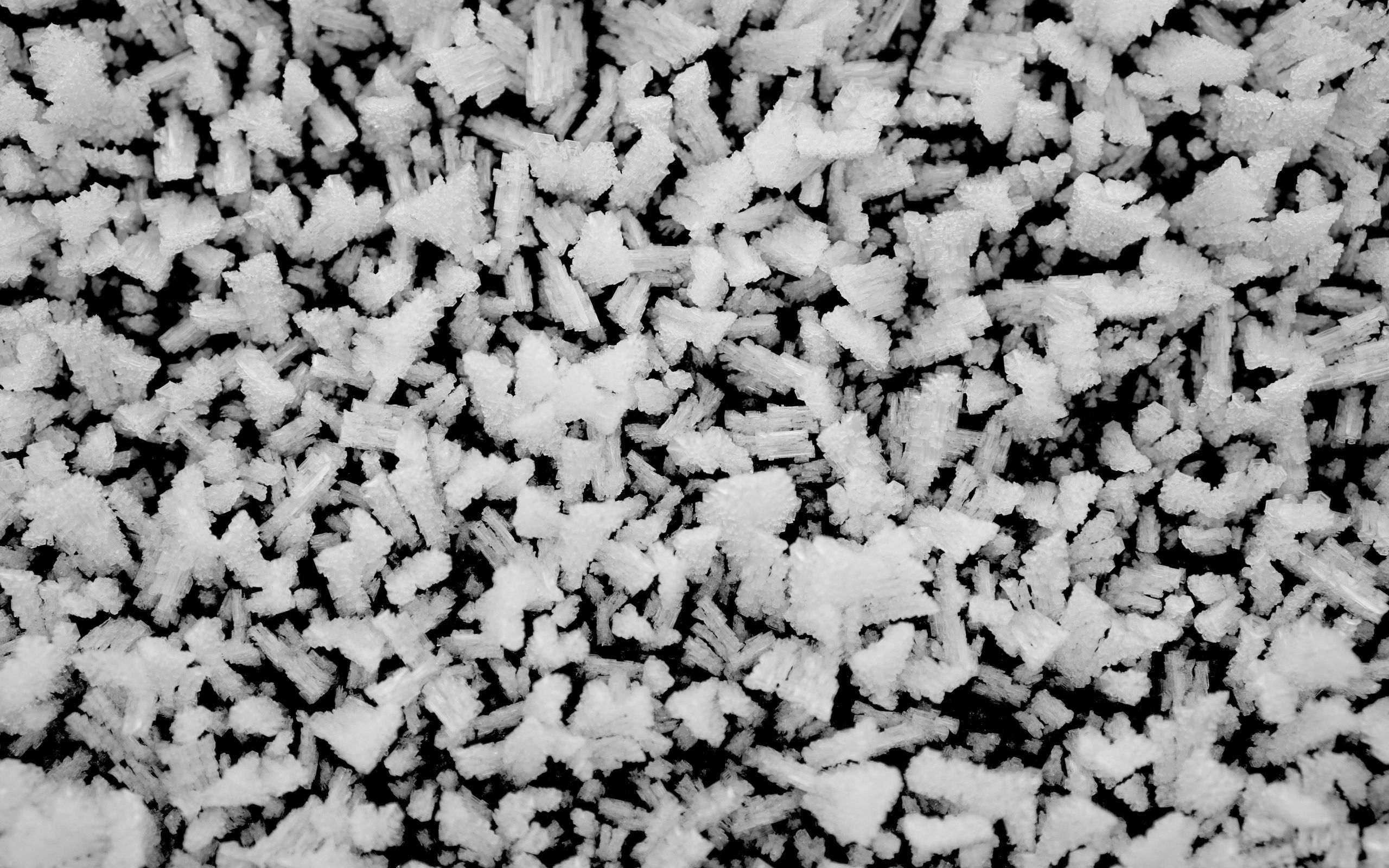 Download wallpaper 2560x1600 frost, ice, crystals, winter, black and white widescreen 16:10 HD background