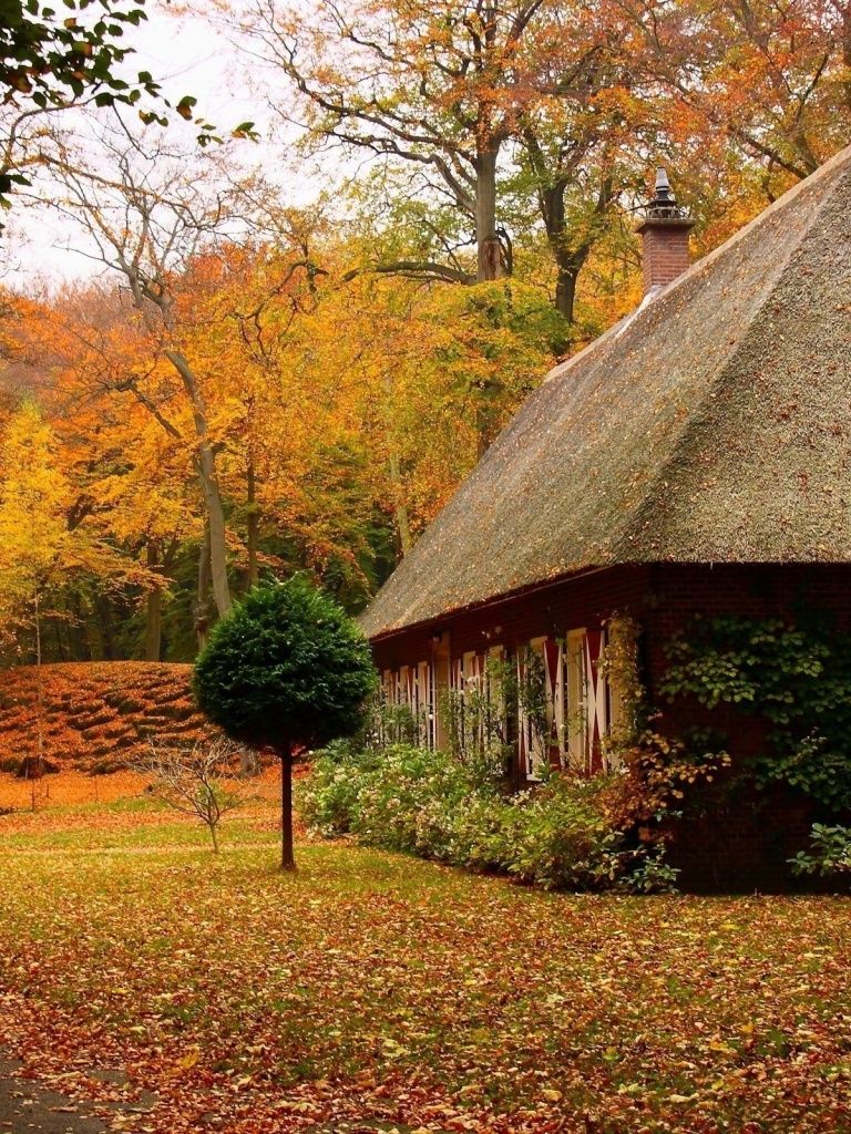 Country House in Autumn iPad wallpaper