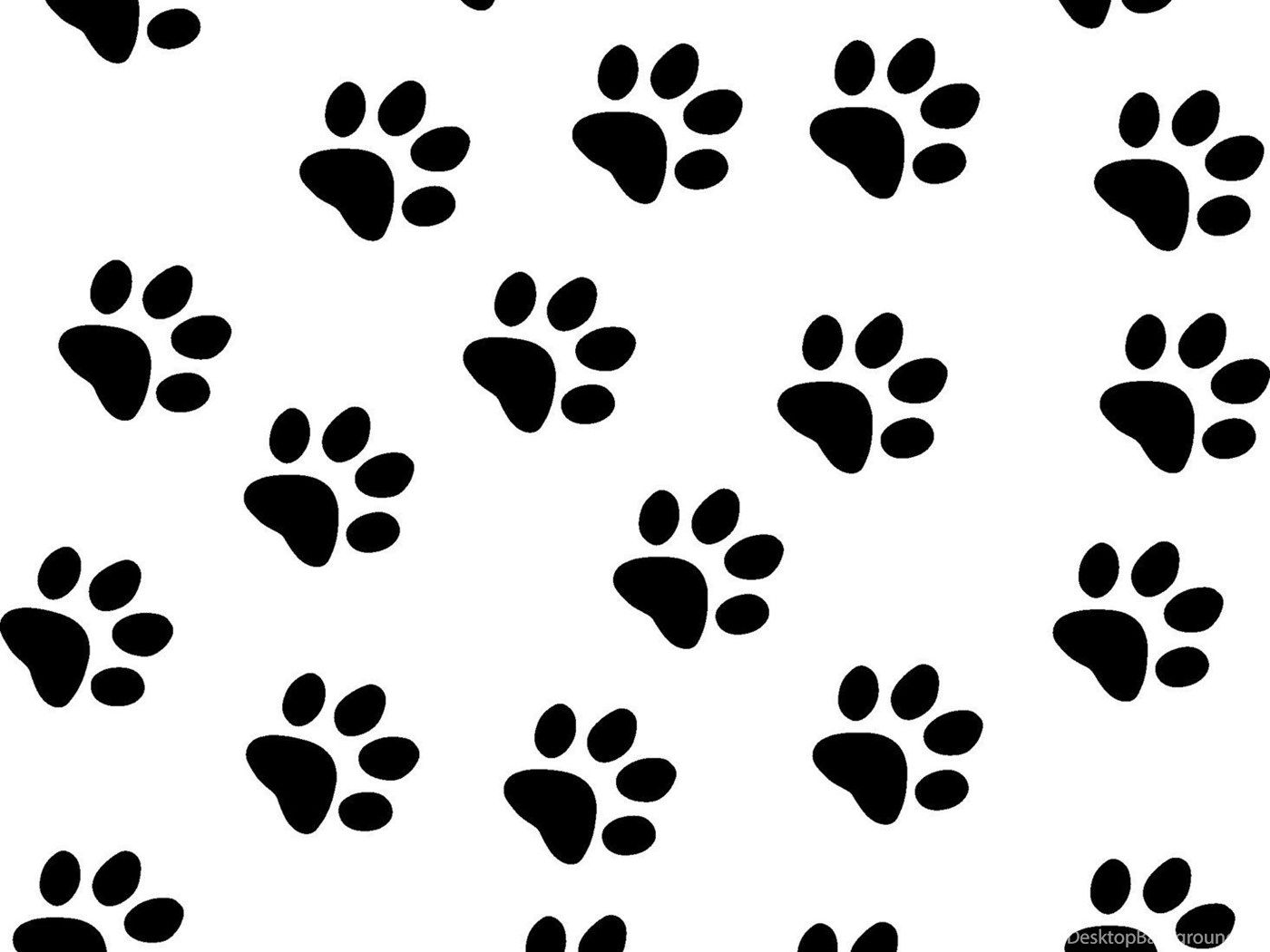 Picture Of Cat Paw Prints HD Wallpaper Lovely Desktop Background