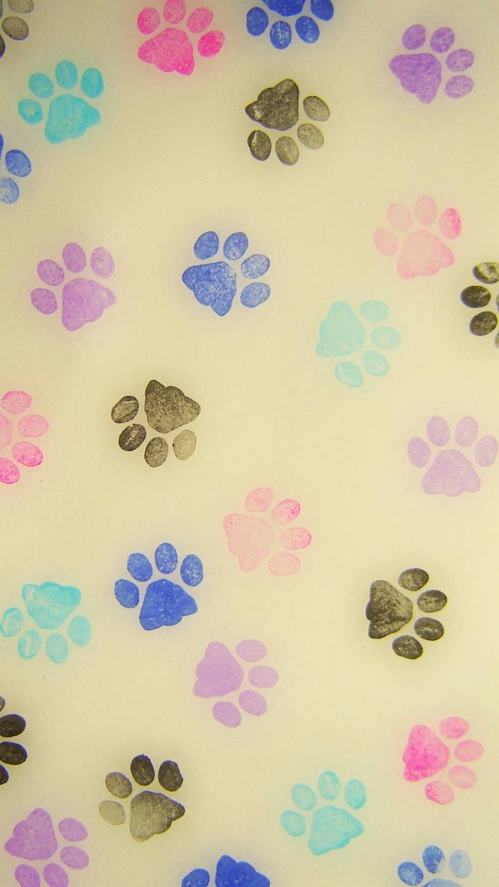 Cat Paw Prints wallpaper