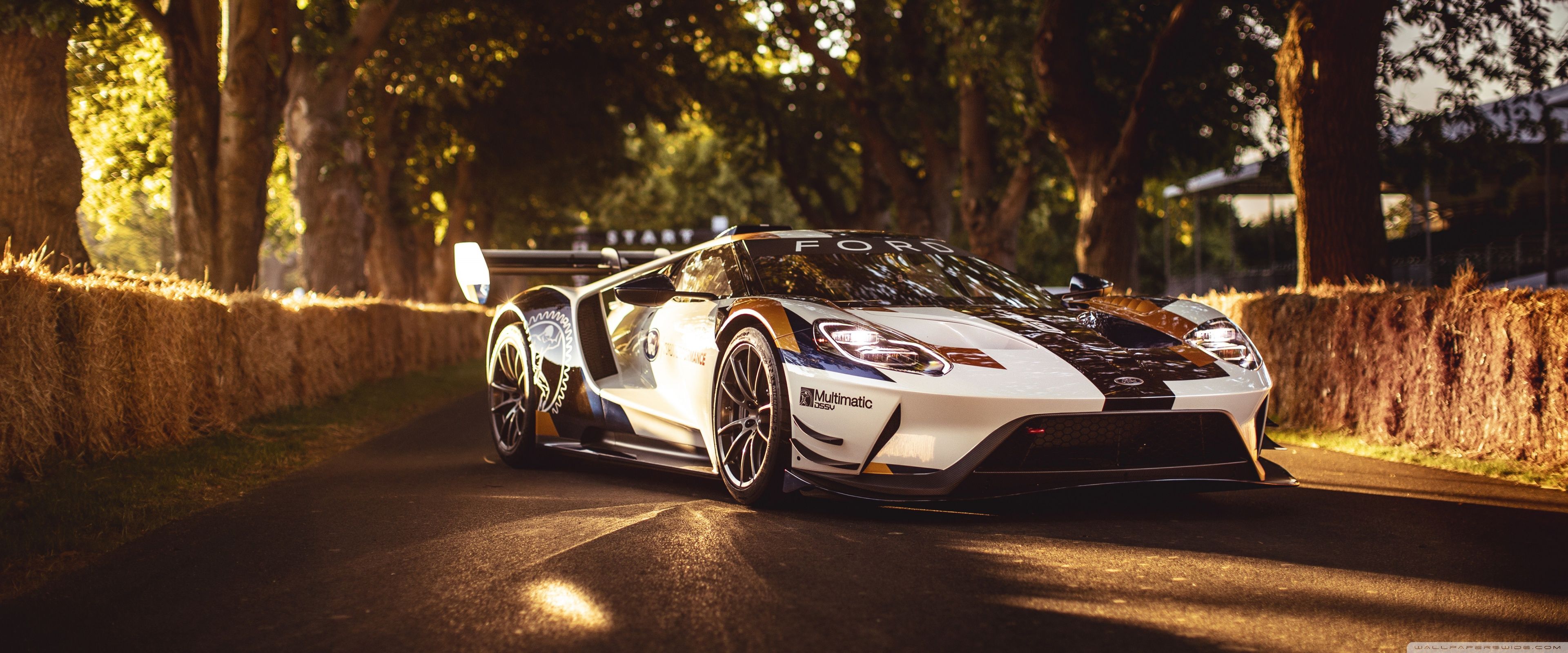 Ford GT mk II, for dual Monitor [3840x 1600]
