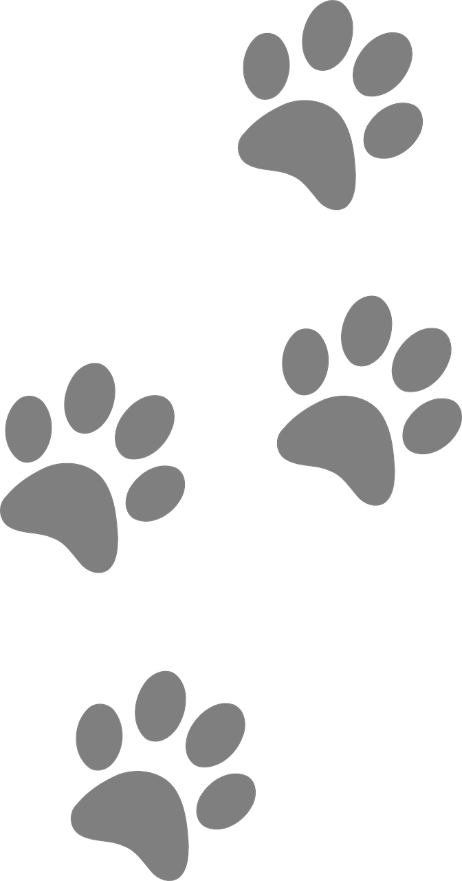 Cat And Dog Image Pixabay Download Free Picture Stunning Free Image About Cat And Dog Free For Commercial Use No. Dog paw art Paw stencil Paw art