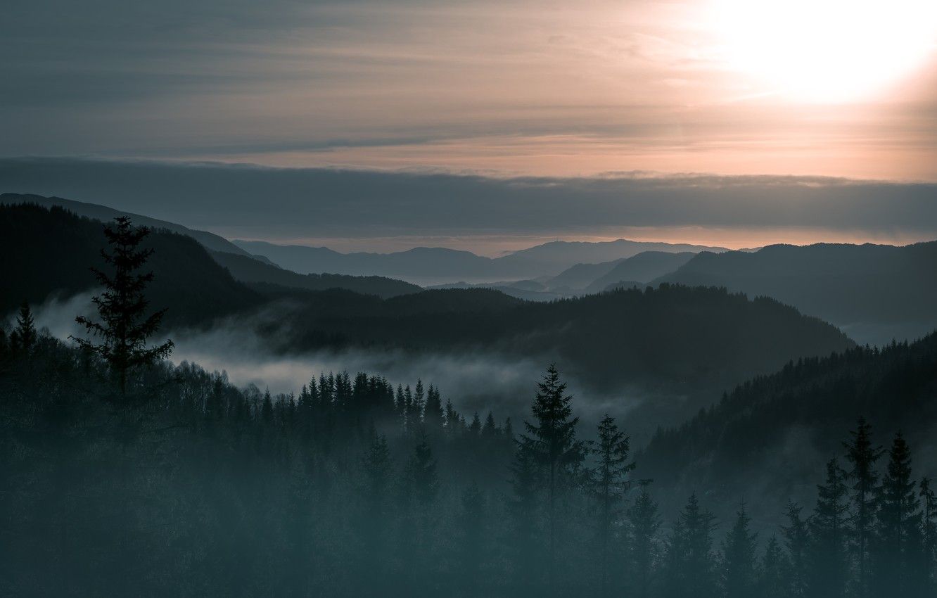 Wallpaper trees, landscape, fog, mountain, beauty, Norway, forest image for desktop, section пейзажи