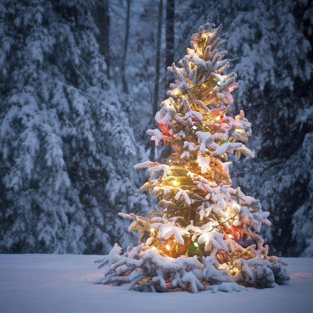 Neon Light On Snowy Christmas Tree iPad Wallpapers Free Download
