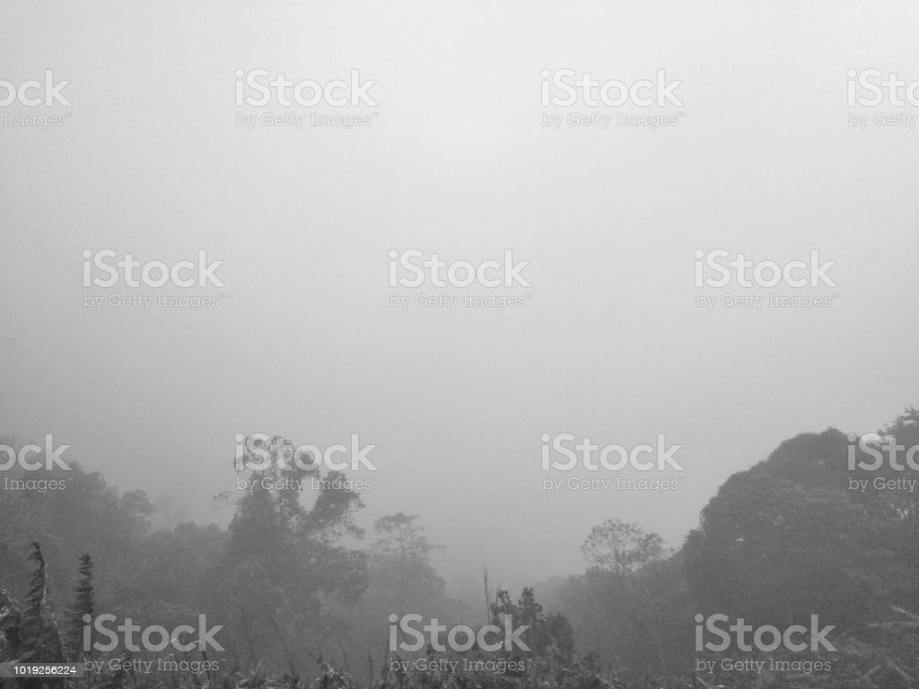 View Landscape Fog In The Forest Mountain Image Now