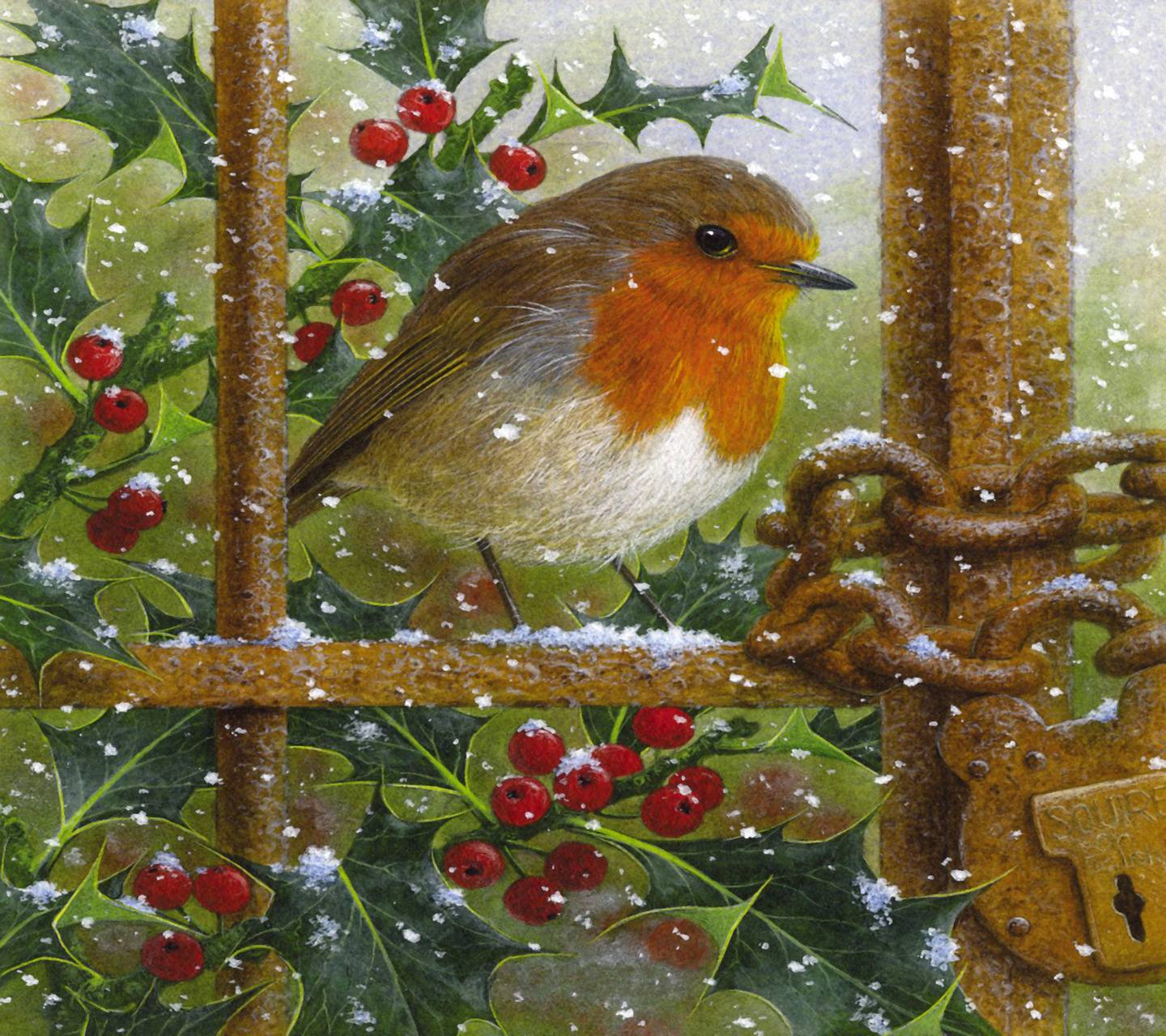 christmas robin wallpaper