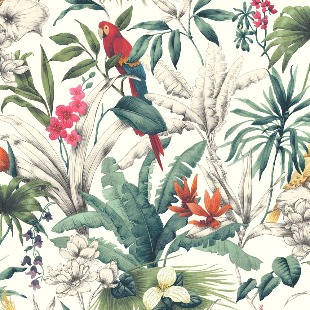 Bird of Paradise Parrot Accessorize Wallpaper in Red, Pink & Green