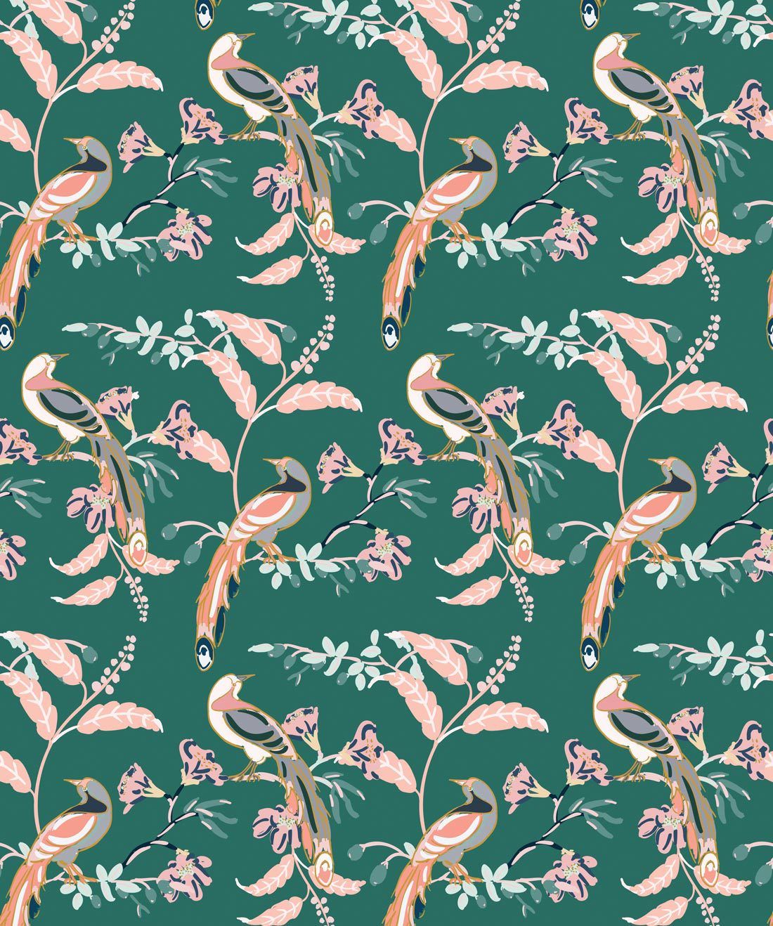 Birds Of Paradise • Tropical Bird Wallpaper