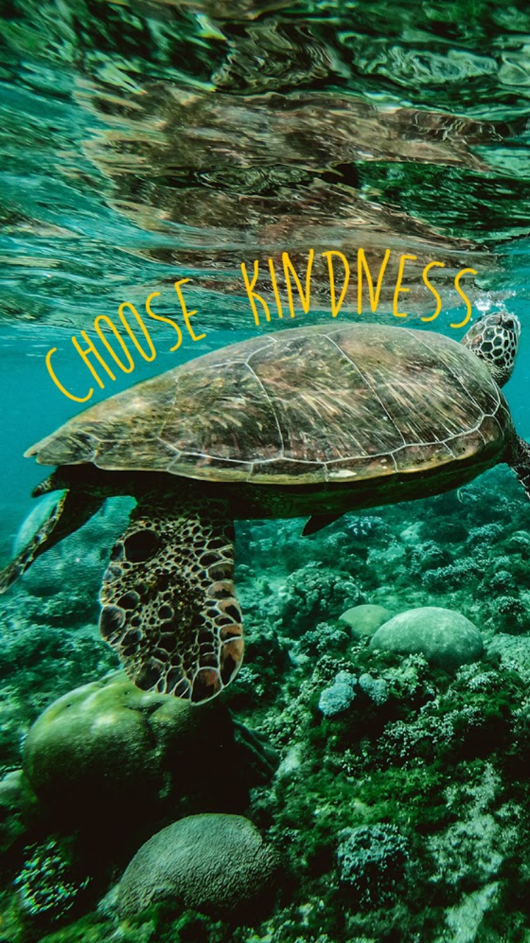 Choose Kindness. Yellow. Aesthetic. Wallpaper. Home Screen. Bright. Inspirational. Happy. Cute. Picture collage wall, Turtle wallpaper, Frame wall collage