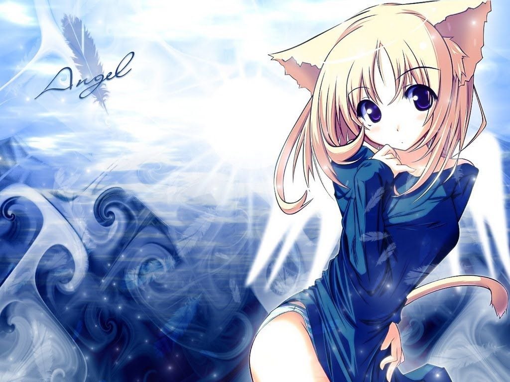 Kawaii Anime Wallpaper Picture Kawaii Cat Girl Lt Anime Cat Girl Blonde