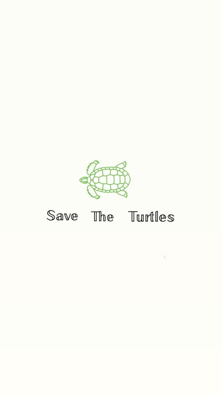 Latest Totally Free Turtles Pet aesthetic Popular Turtles live mainly in water. They'll need an aq. Turtle wallpaper, Abstract iphone wallpaper, Turtle background