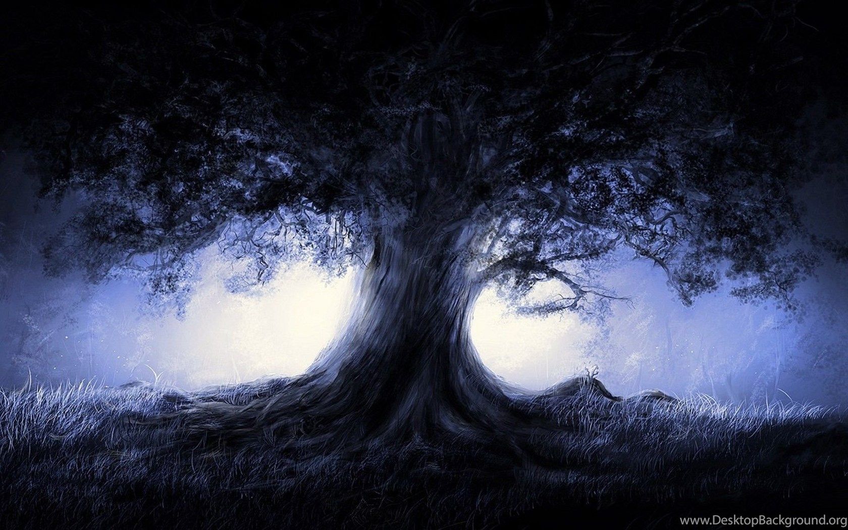 Wallpaper Anime Landscape Nature Blue Landscapes Trees Dark Night. Desktop Background