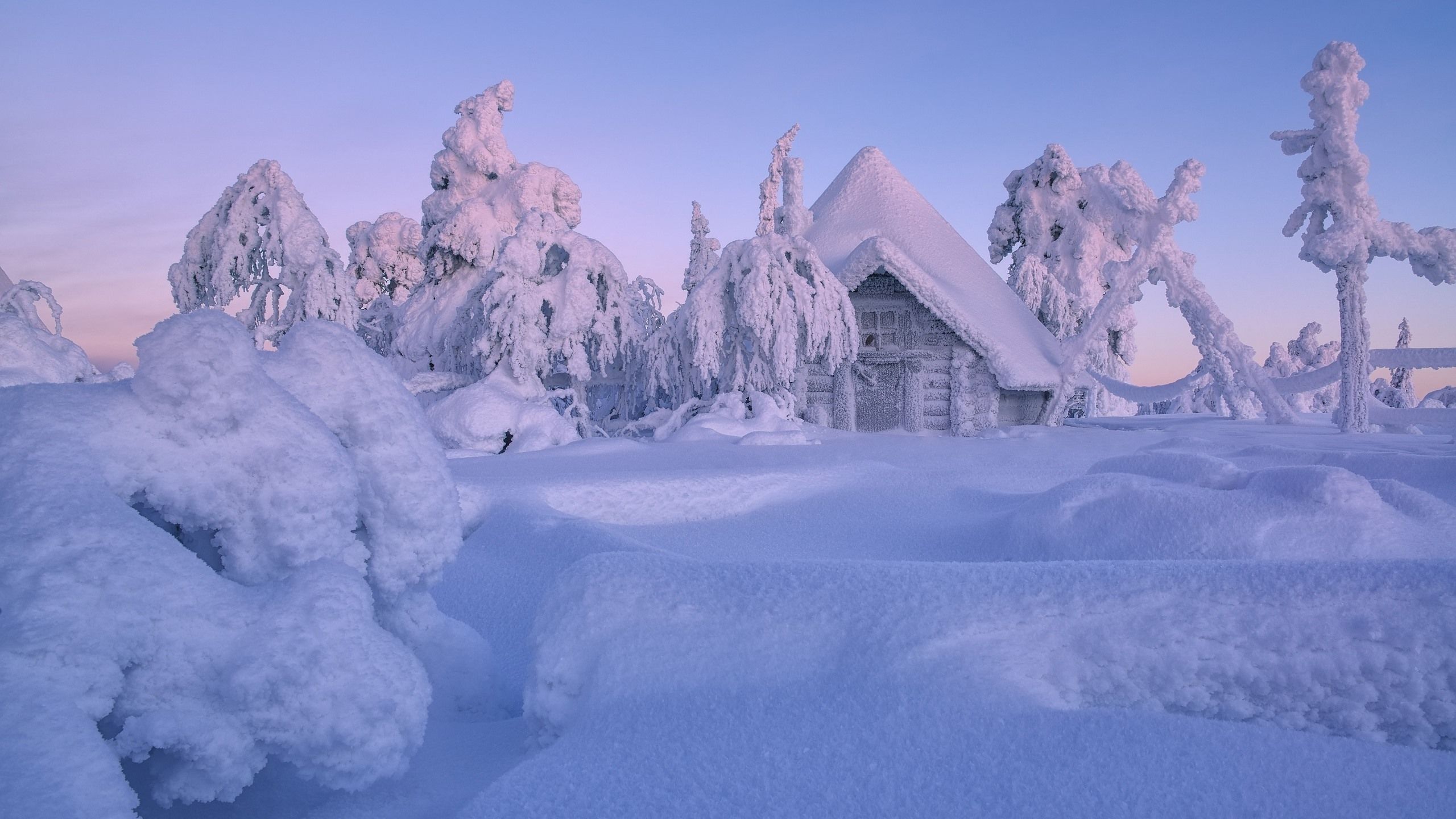 Wallpaper Finland, Lapland, winter, thick snow, trees, house 2560x1600 HD Picture, Image