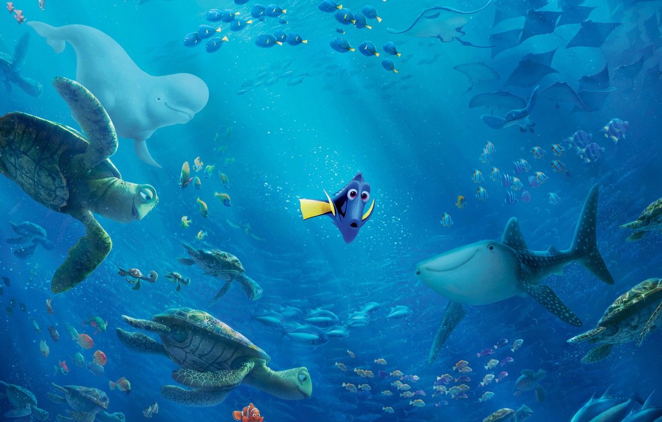 Wallpaper sea, fish, bubbles, the ocean, cartoon, fish, shark, kit, underwater world, rays of light, turtles, Dori, Finding Dory, In finding Dory image for desktop, section фильмы
