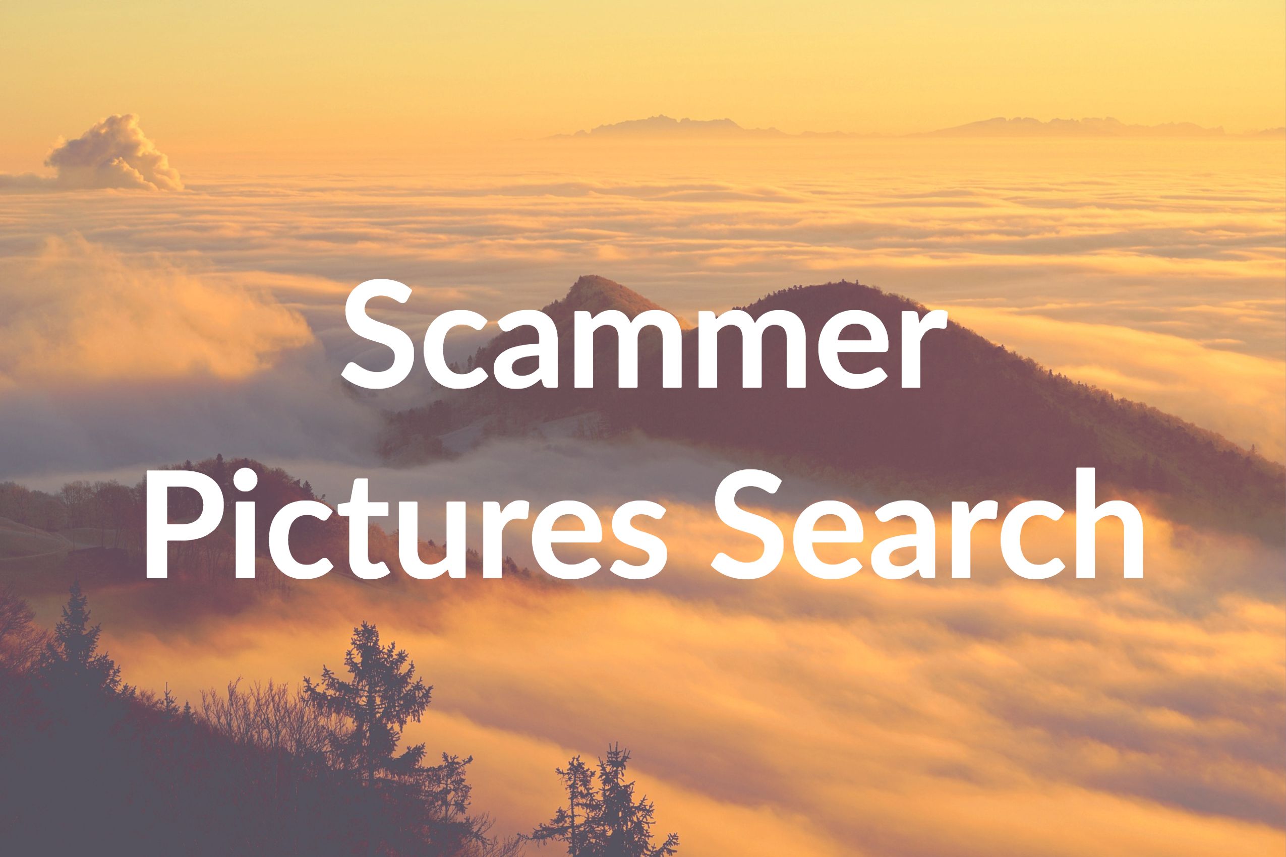 Scammer Wallpapers Wallpaper Cave