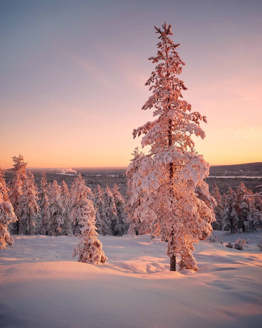Mesmerizing Winter Wonderland Photo of Lapland in Finland by Essi Trautwein #photography #landscape #Lapl. Winter wonderland wallpaper, Lapland, Winter landscape