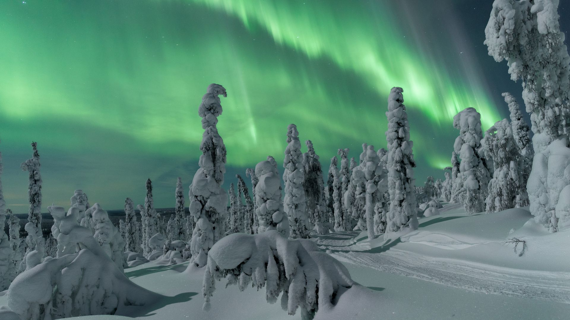 Best Places to see Northern Lights in Lapland. Visit Finnish Lapland