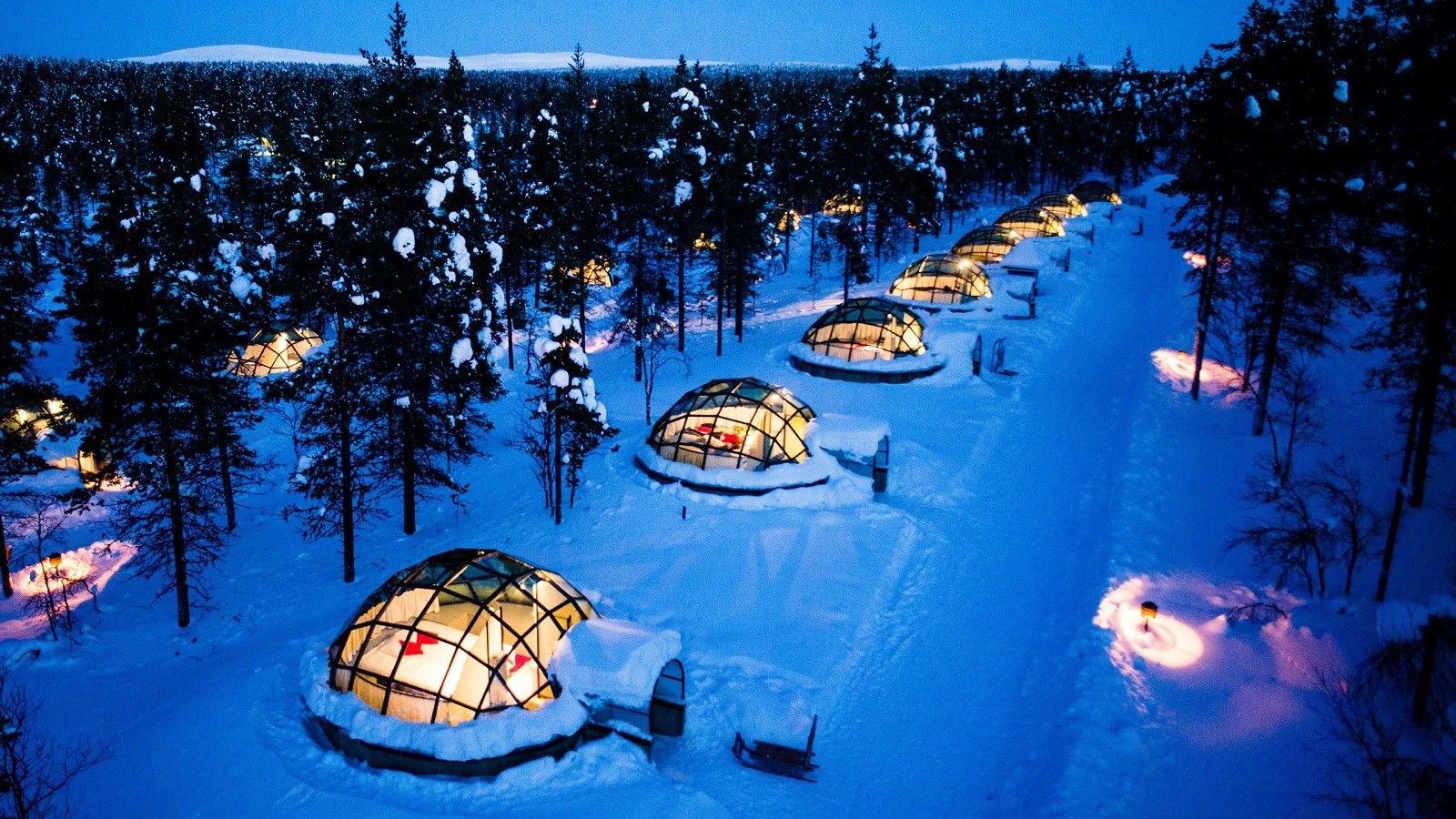 #Finland, #tree, #night, #snow, #northern lights, K, #winter, # Lapland