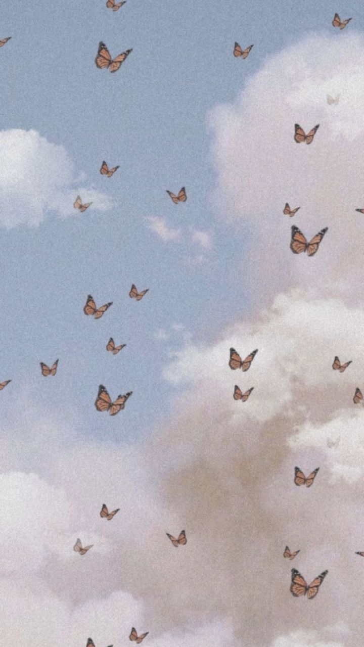background butterfly cloud. iPhone wallpaper vintage hipster, iPhone wallpaper vintage, Butterfly wallpaper iphone