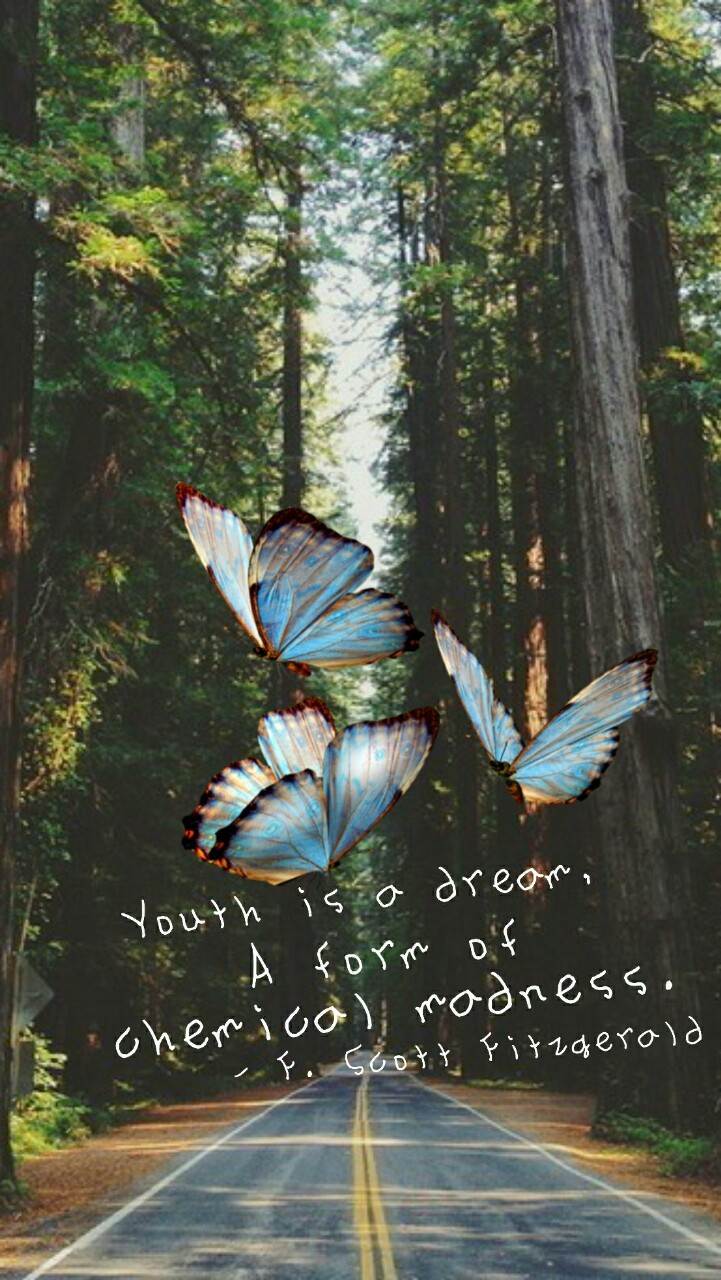 Hottest iPhone Wallpaper on Tumblr!