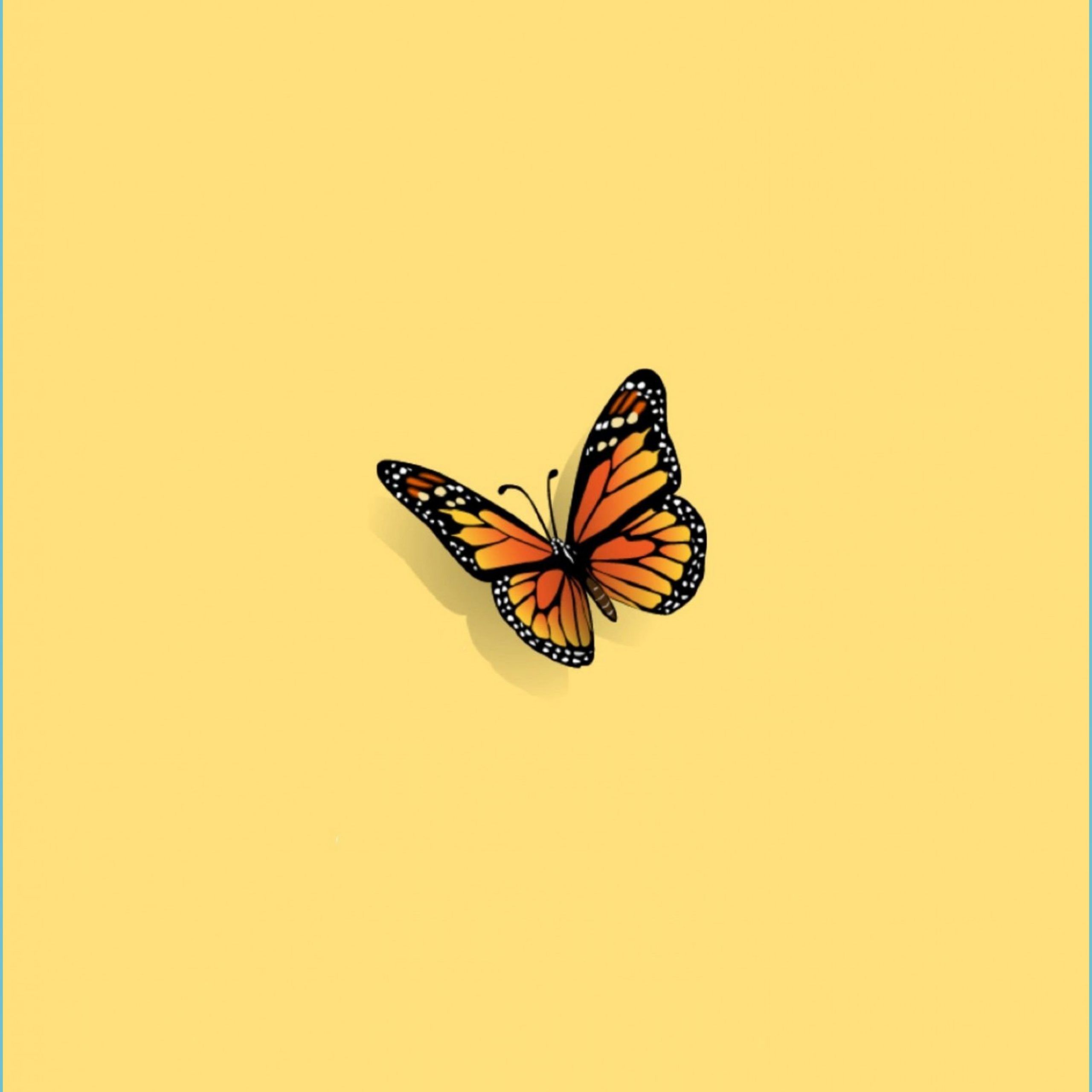 Aesthetic Tumblr Butterfly Yellow Wallpaper wallpaper tumblr