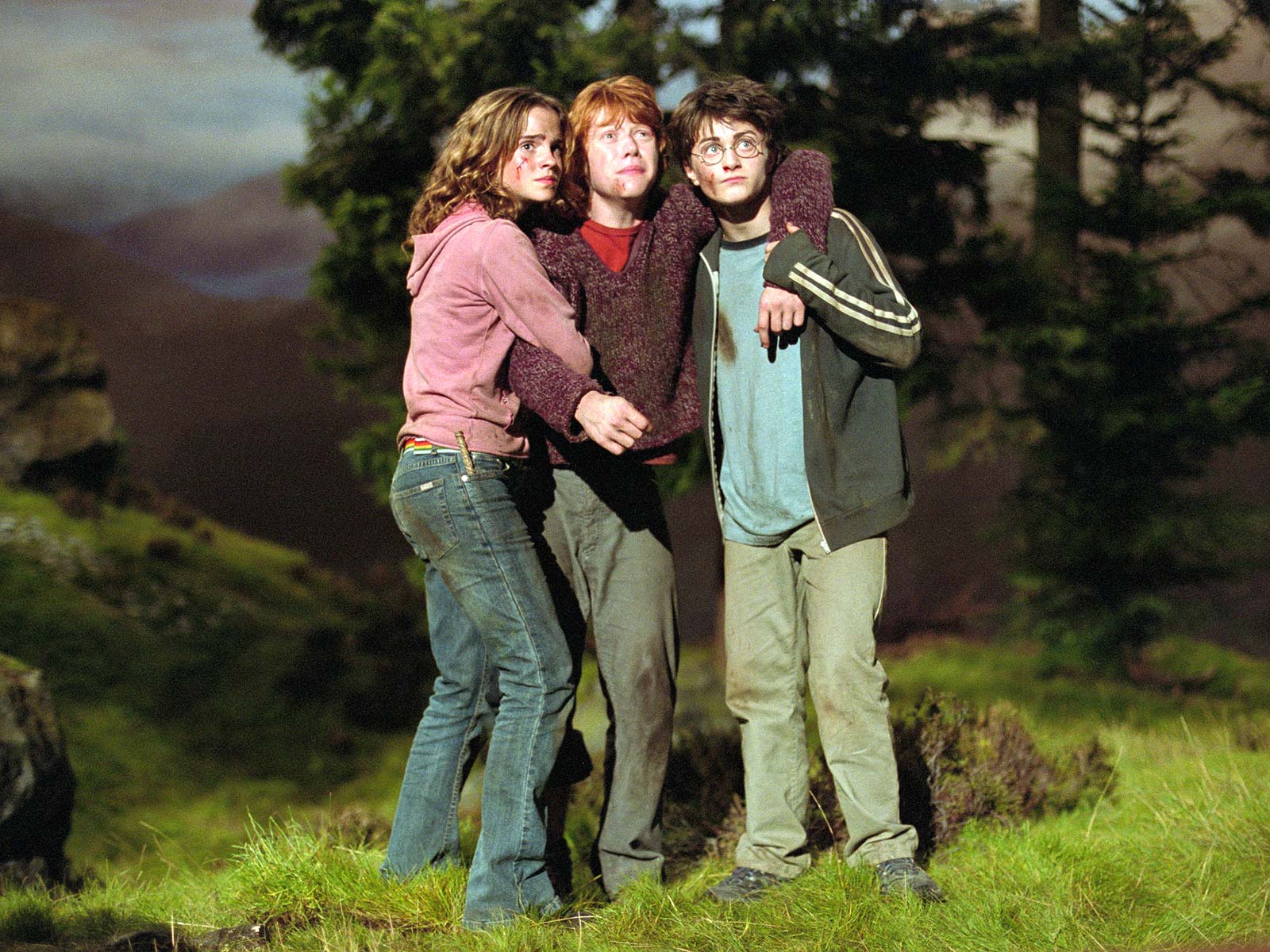 Golden Trio POA, Ron and Hermione Photo