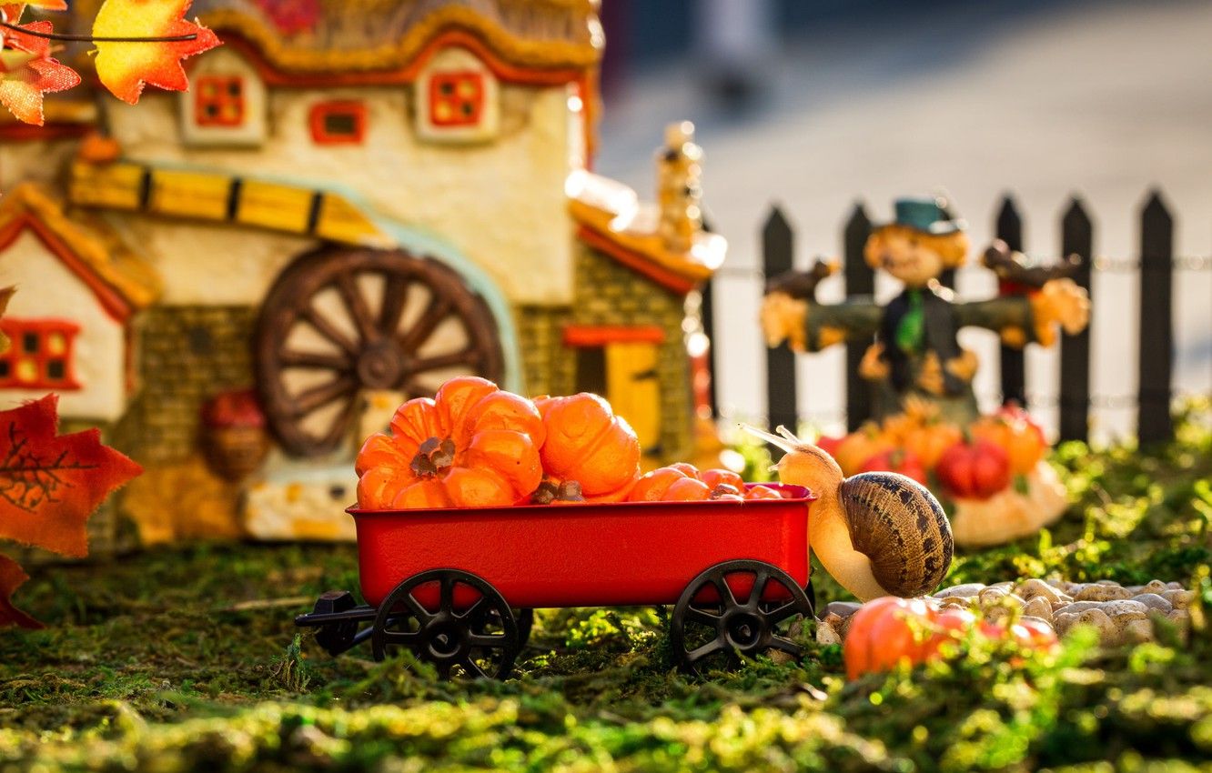 Wallpaper autumn, grass, leaves, macro, light, house, the game, toys, the fence, snail, garden, harvest, pumpkin, truck, red, setting image for desktop, section макро