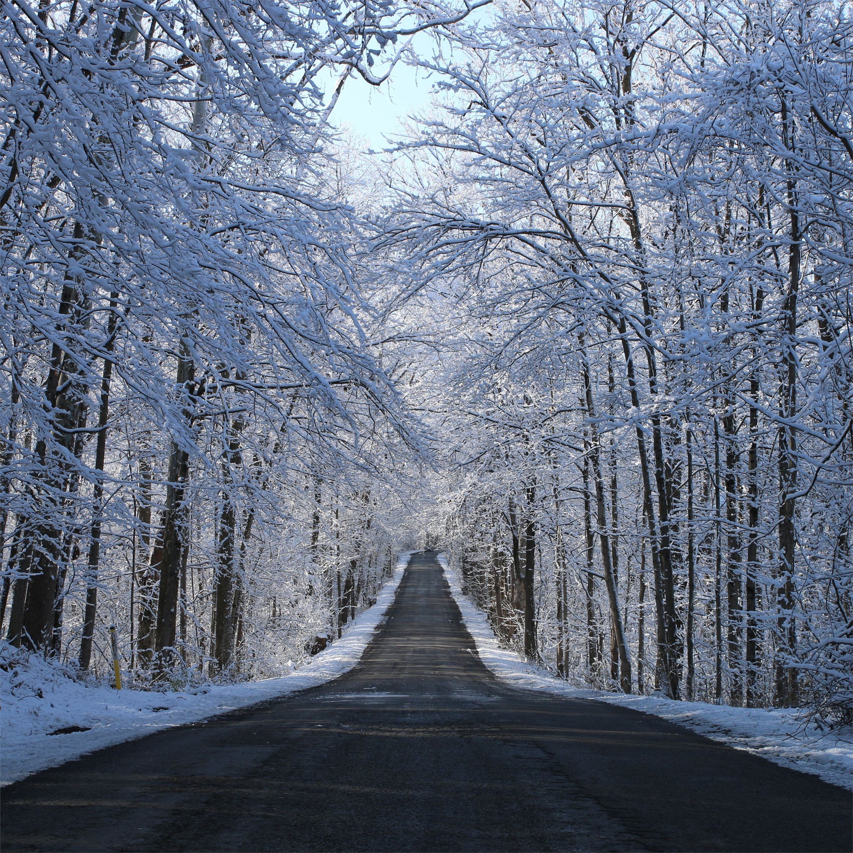 winter road way 5k iPad Pro Wallpaper Free Download