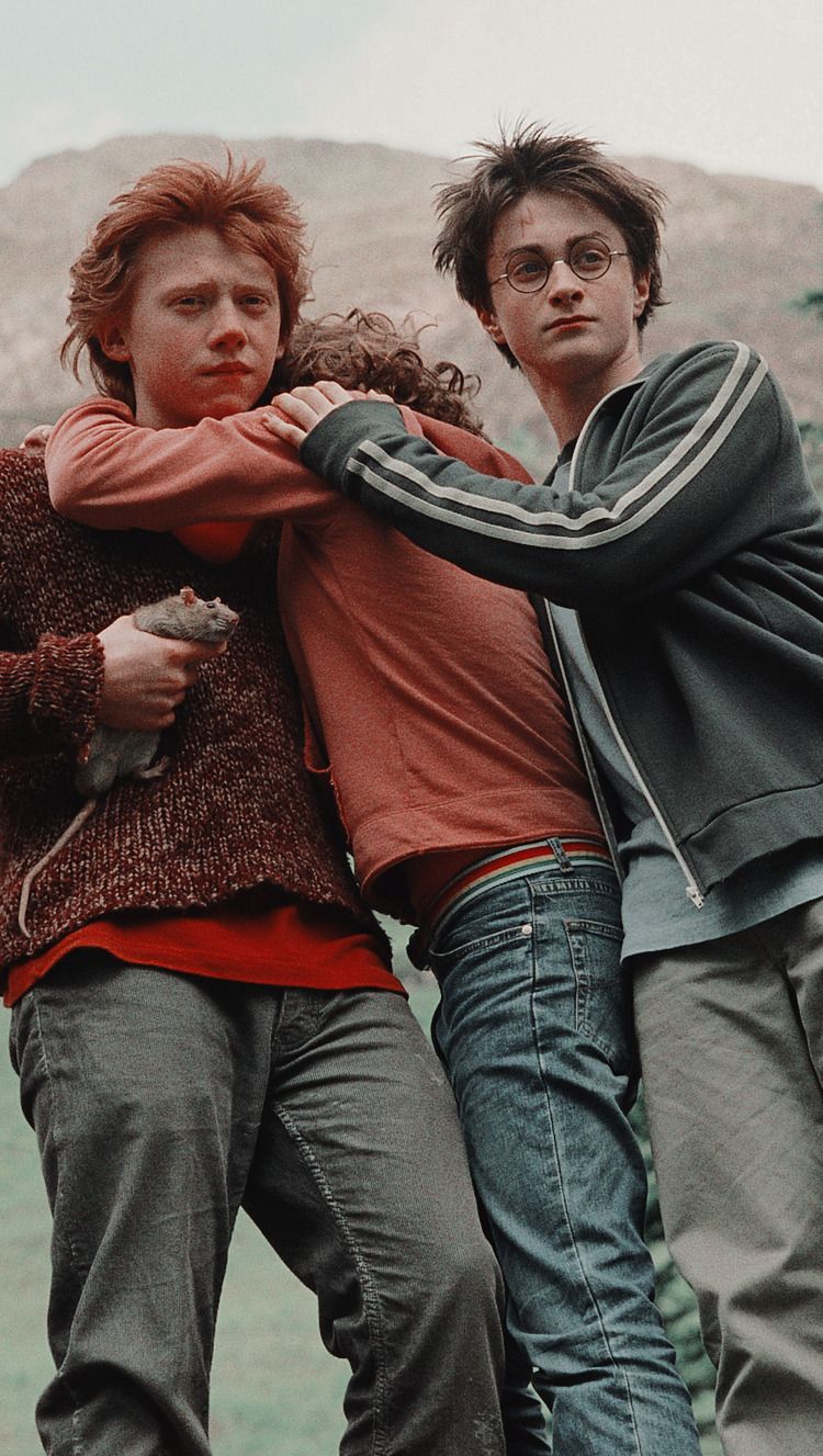 Featured image of post Harry Potter Wallpapers Golden Trio 1080 x 879 jpeg 101