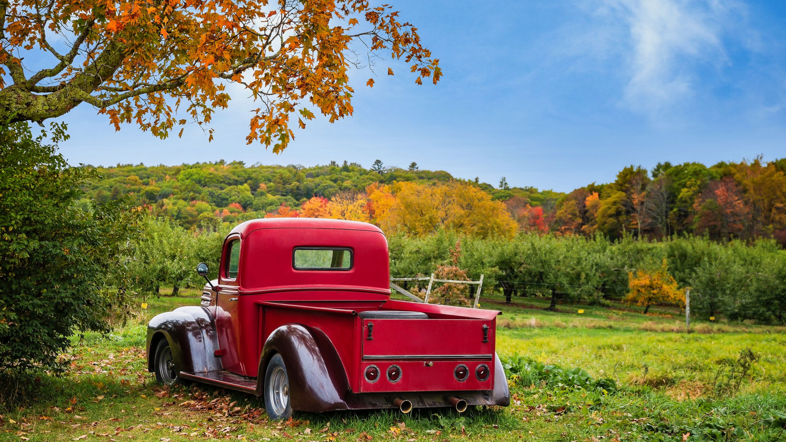 West Michigan pumpkin patches and cider mills to visit this fall