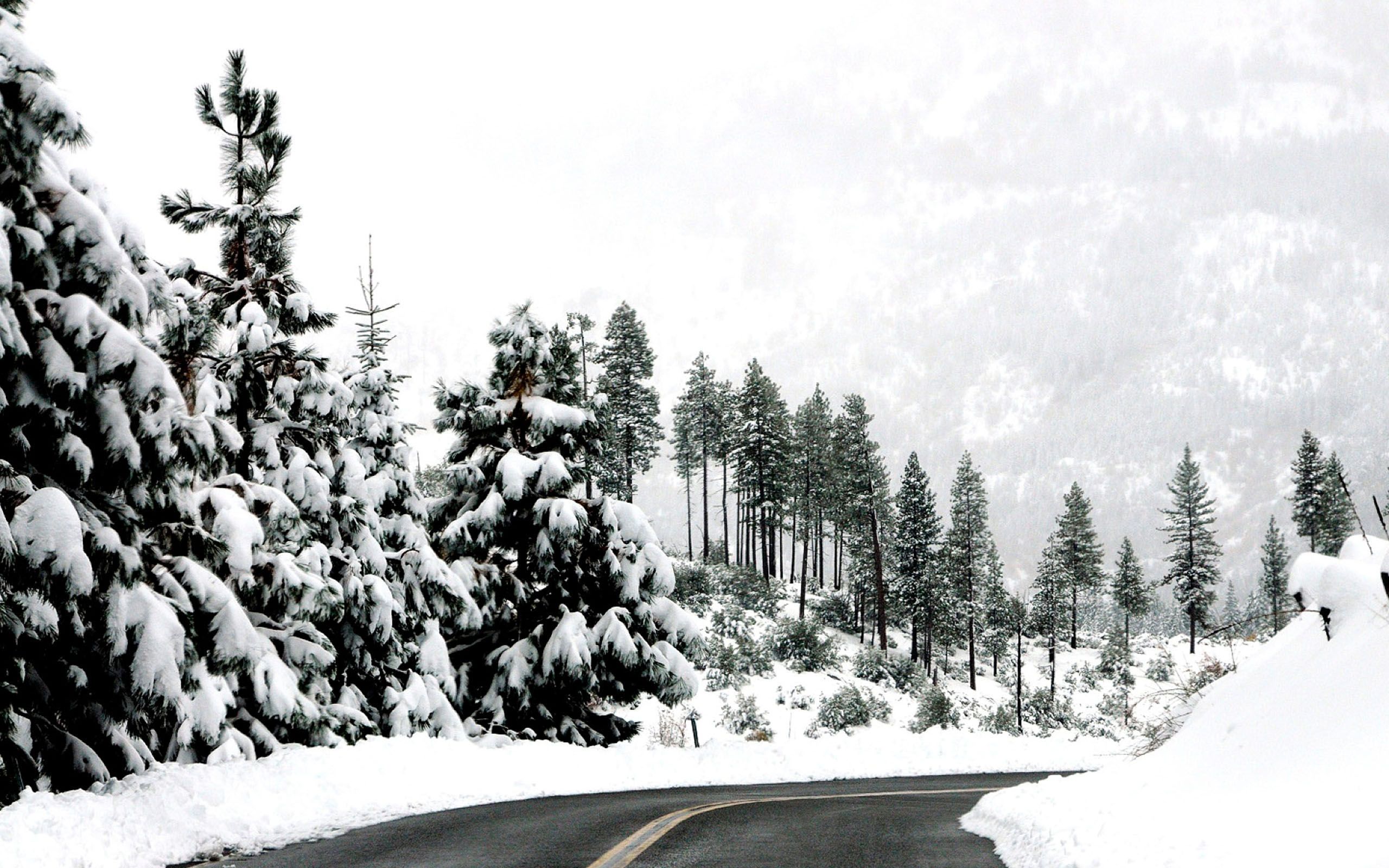 Preview Winter Road Wallpaper Wallpaper & Background Download