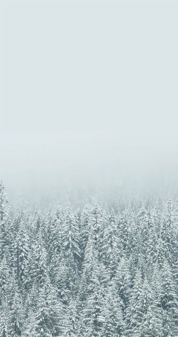 Winter iPhone wallpaper. iPhone wallpaper winter, Winter wallpaper, Winter background iphone