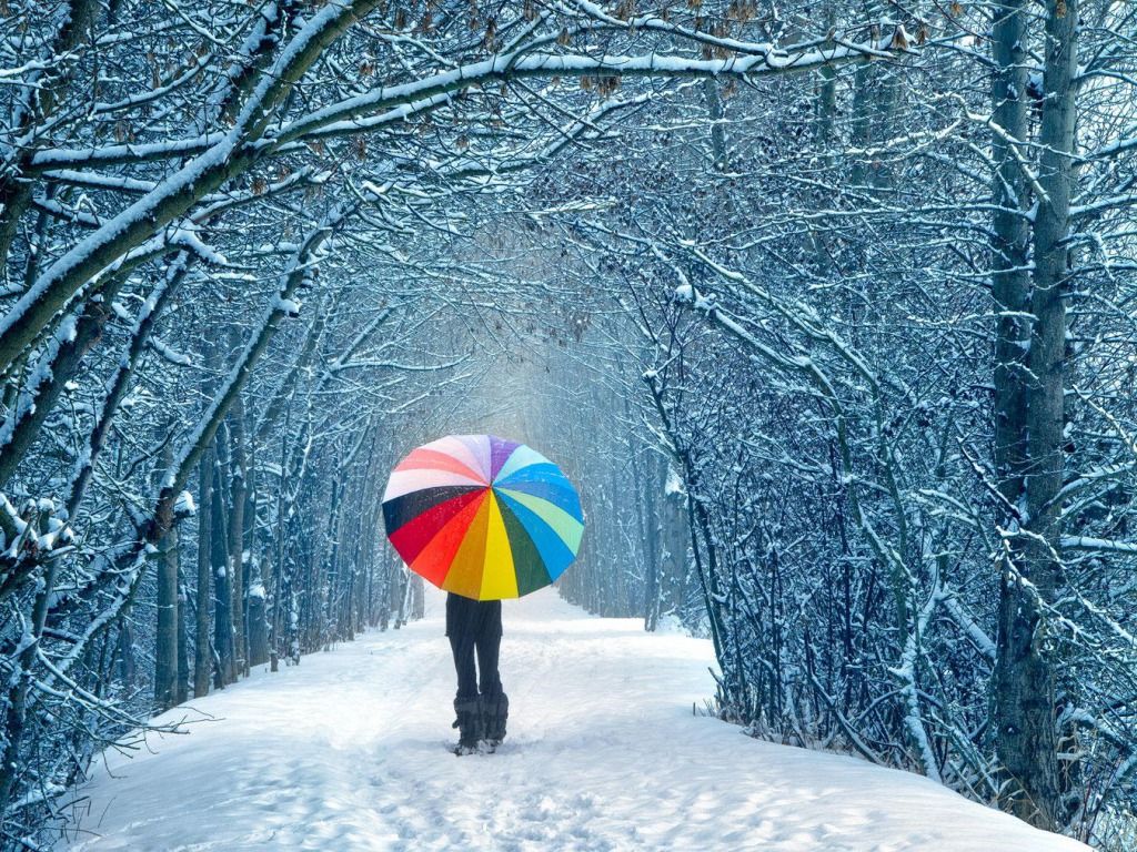 Walking with Colorful umbrella winter wallpaper Hand Picked
