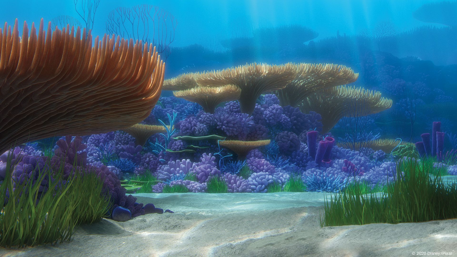 Pixar's Free Zoom Background Jazz Up Meetings With 'Finding Nemo' & More