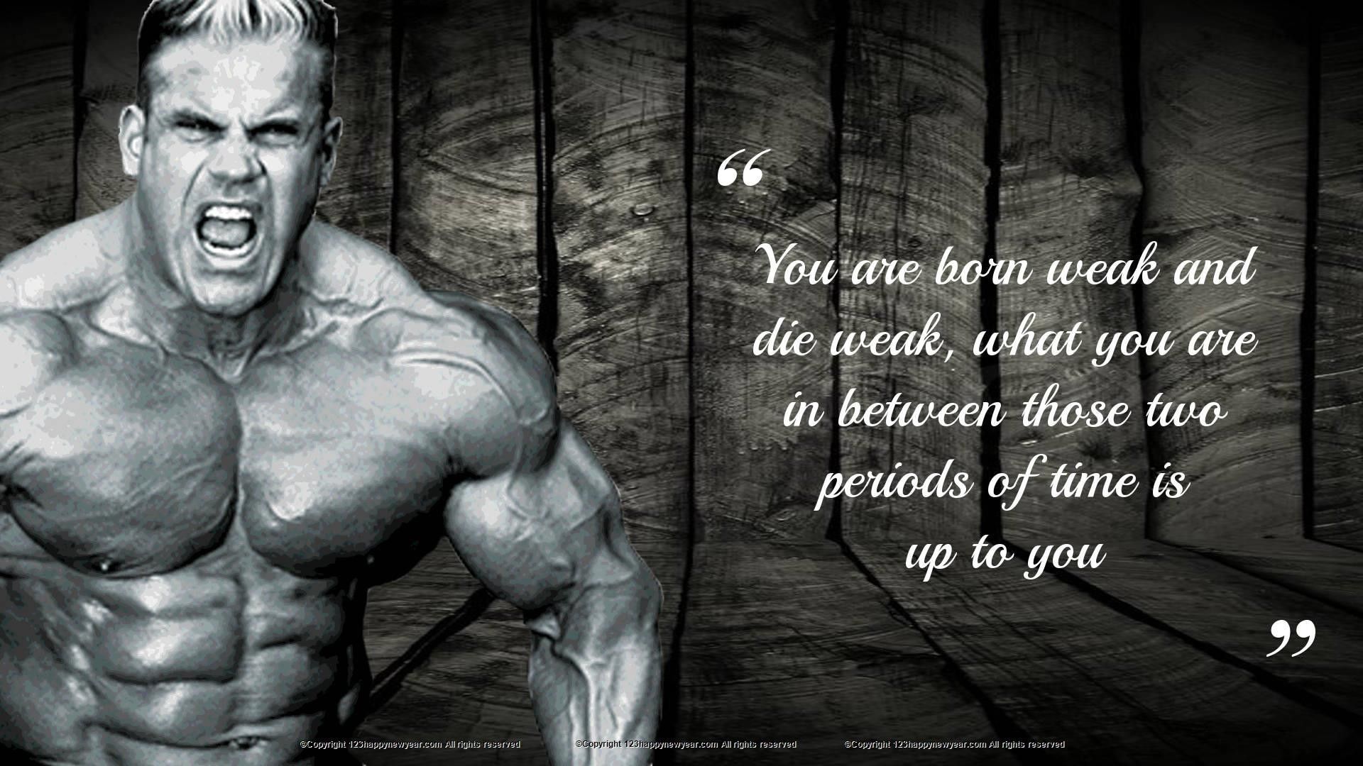 Gym Bodybuilding Full HD Wallpaper 1080p Wallpaper & Background Download