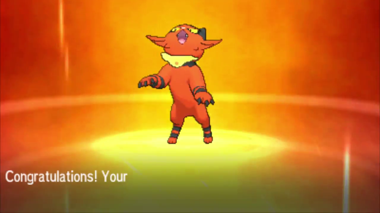 Torracat on its hind legs. Pokémon Sun and Moon