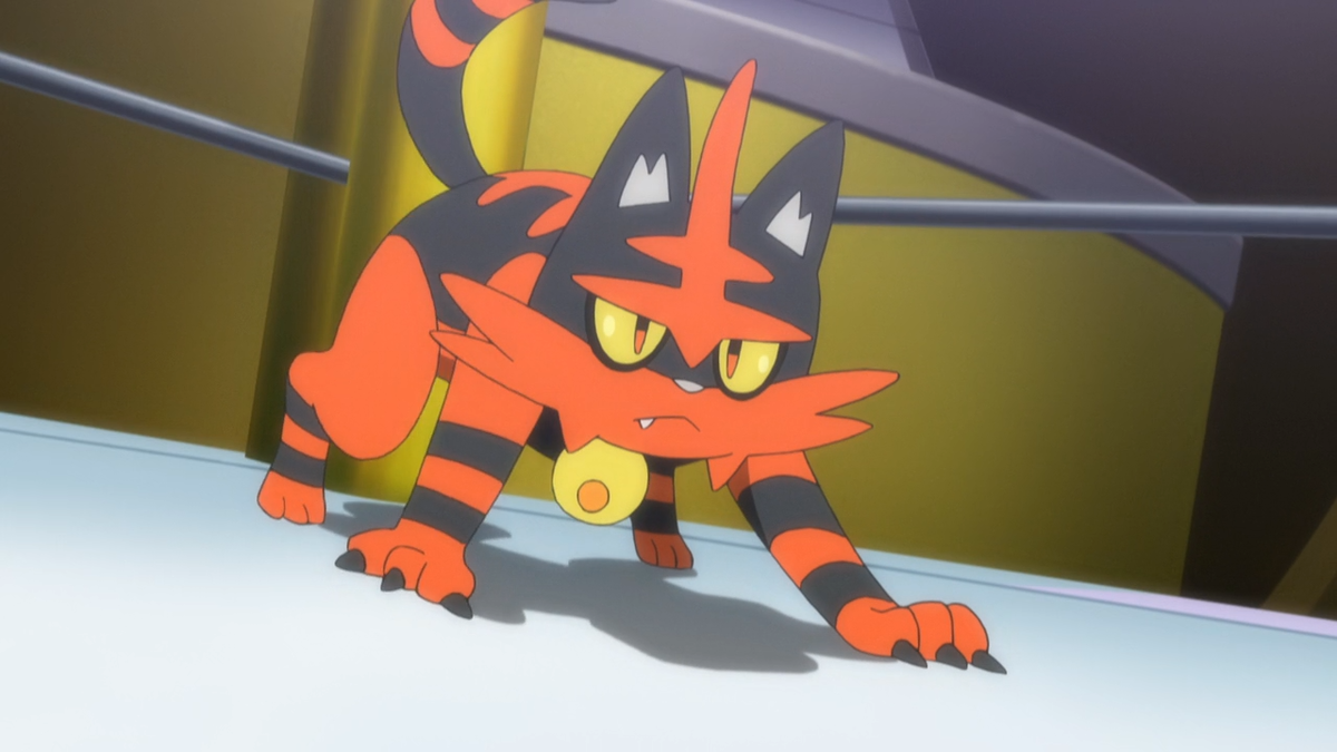 Ash's Torracat, The Community Driven Pokémon Encyclopedia. Pokemon, Pokemon Eeveelutions, Pokemon Incineroar