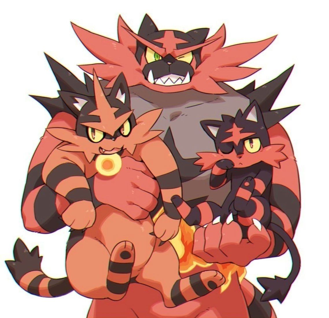 Torracat Family. Pokémon Sun and Moon