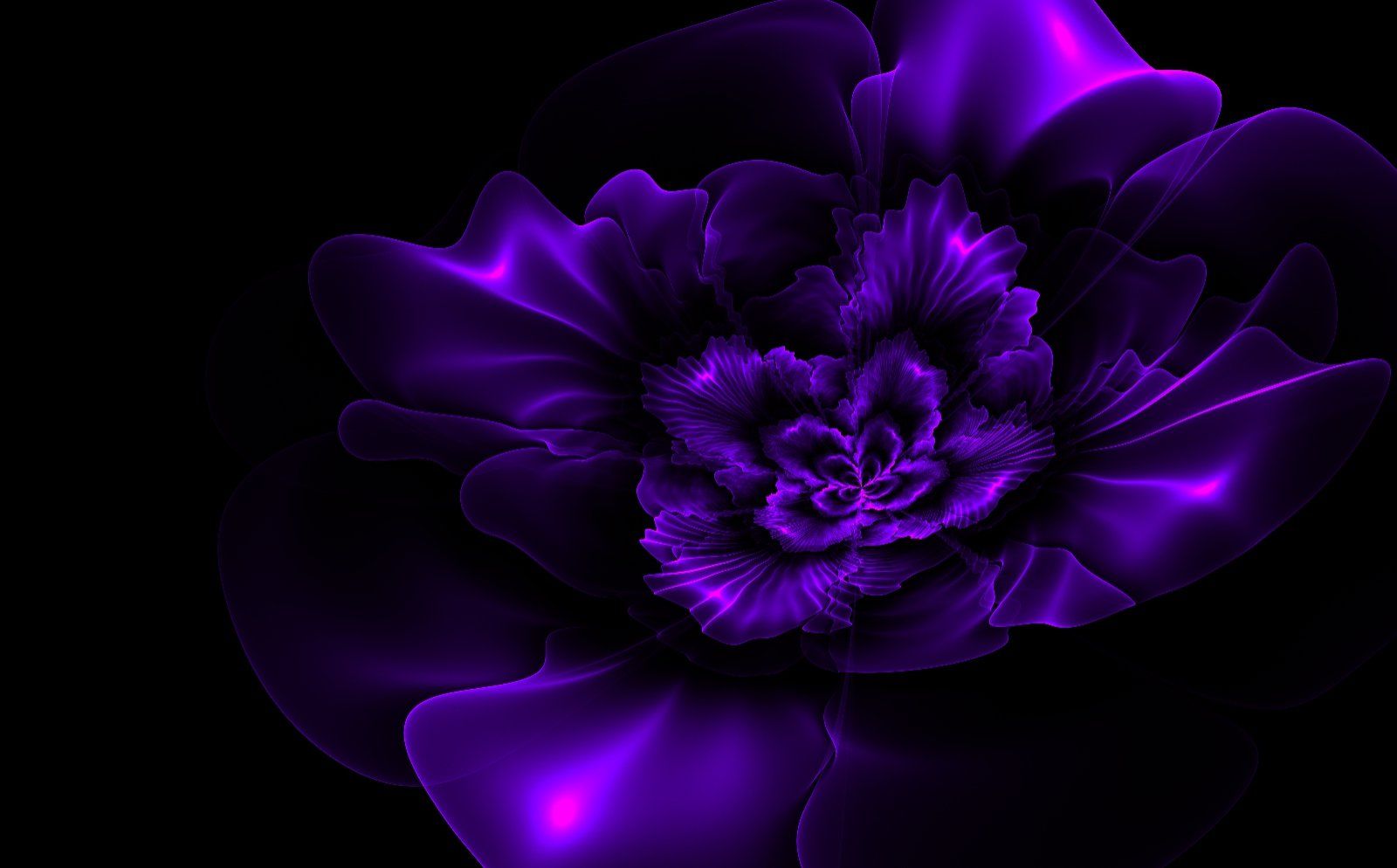 dark purple and black backgrounds