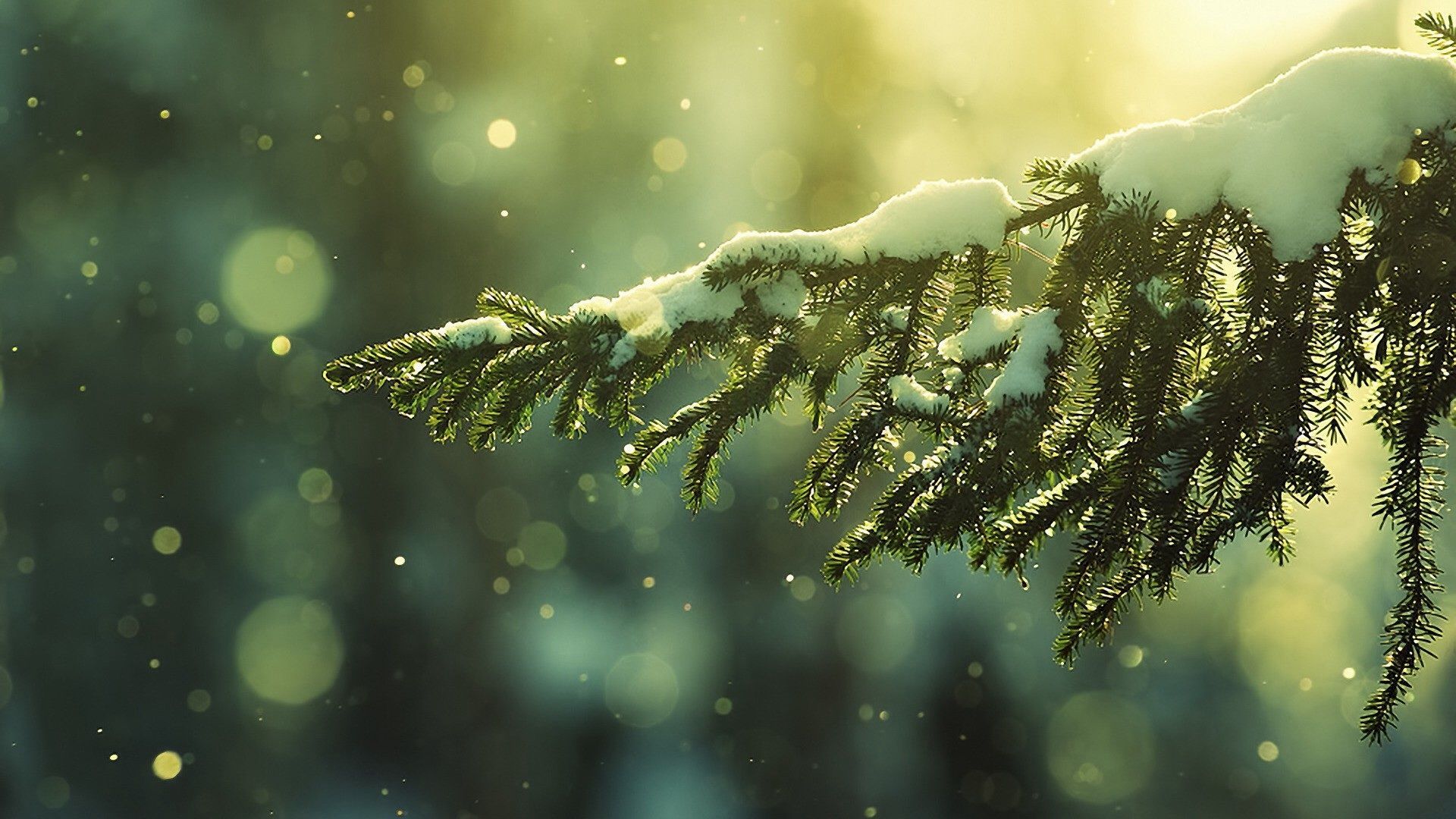 Winter HD Wallpaperx1080