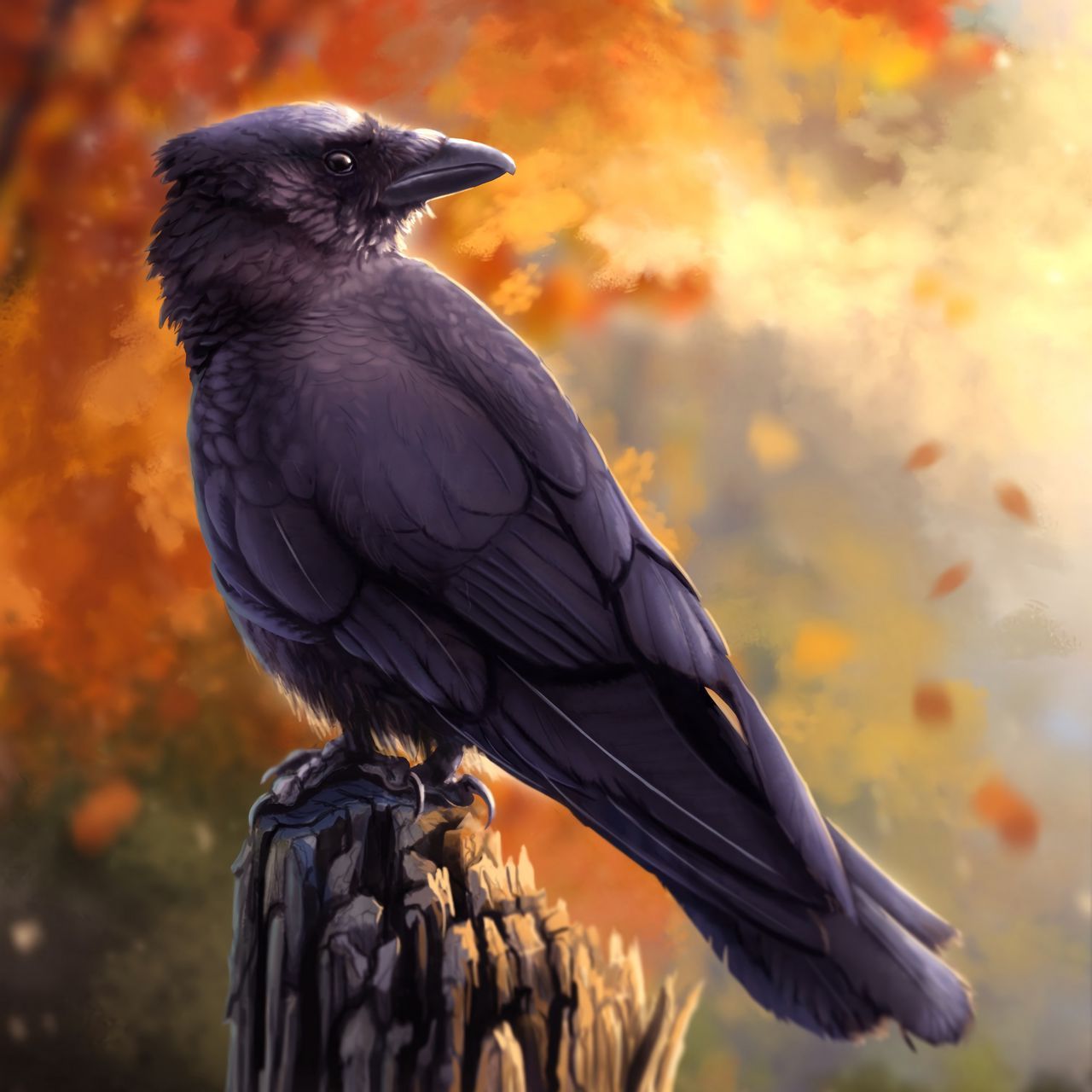 Download wallpaper 1280x1280 raven, bird, art, black, autumn ipad, ipad 2, ipad mini for parallax HD background