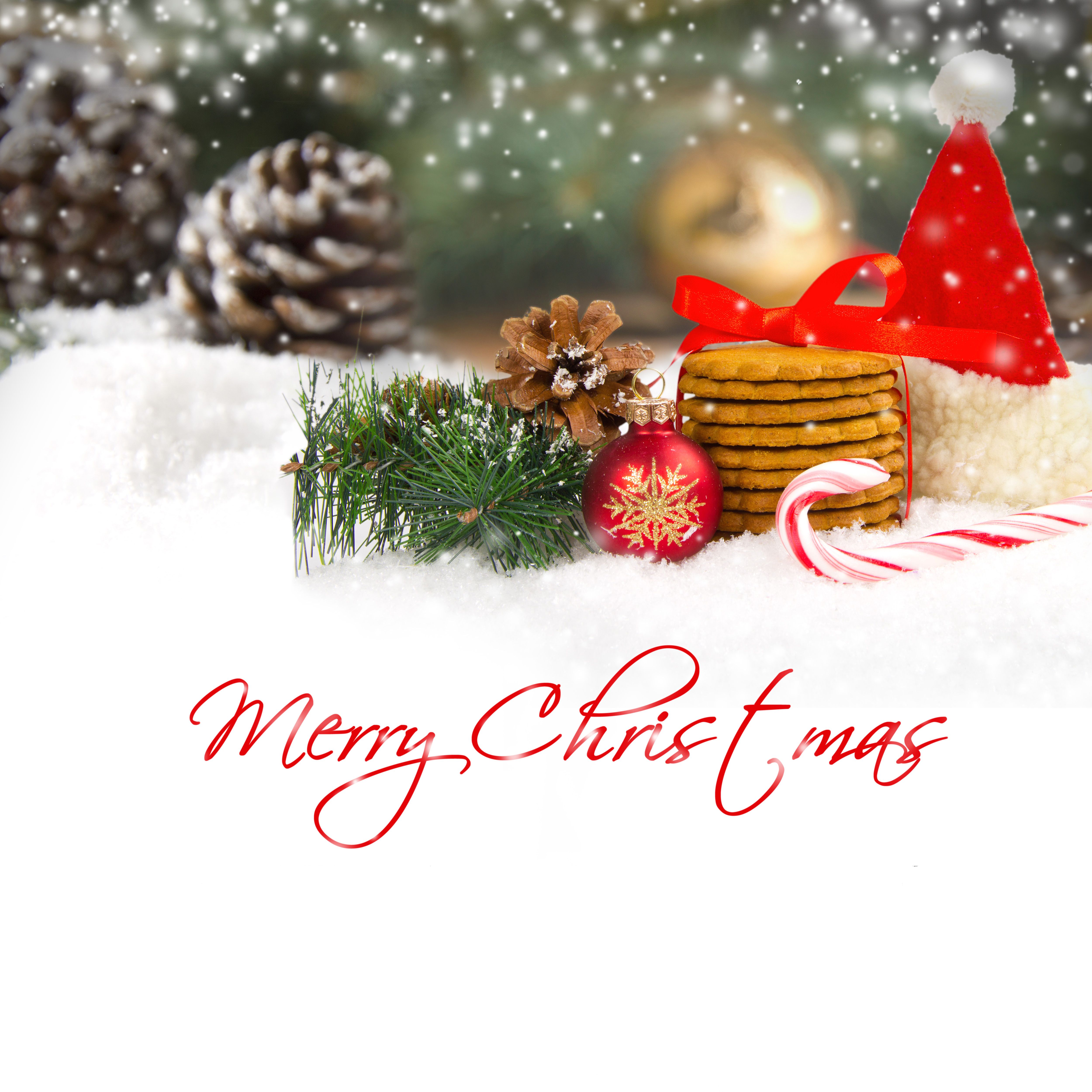 Merry Christmas Background With Pine Cones Quality Image And Transparent PNG Free Clipart